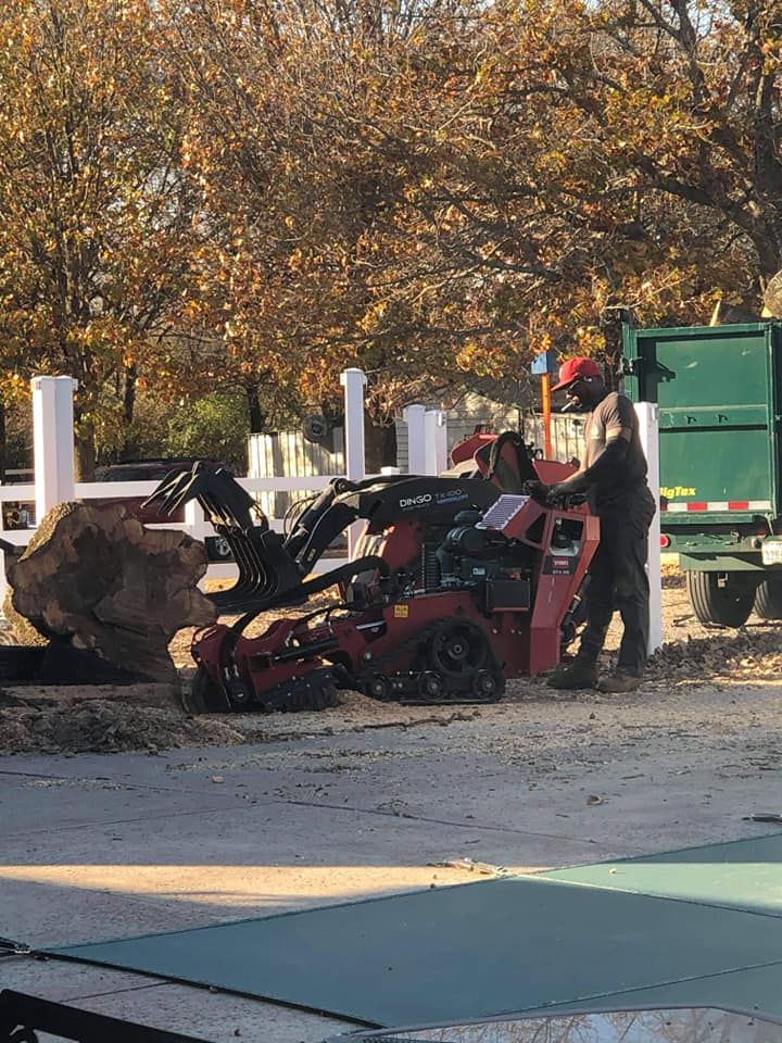 Tree Removal for Tree2Tree Tree Service in Sherman, Texas