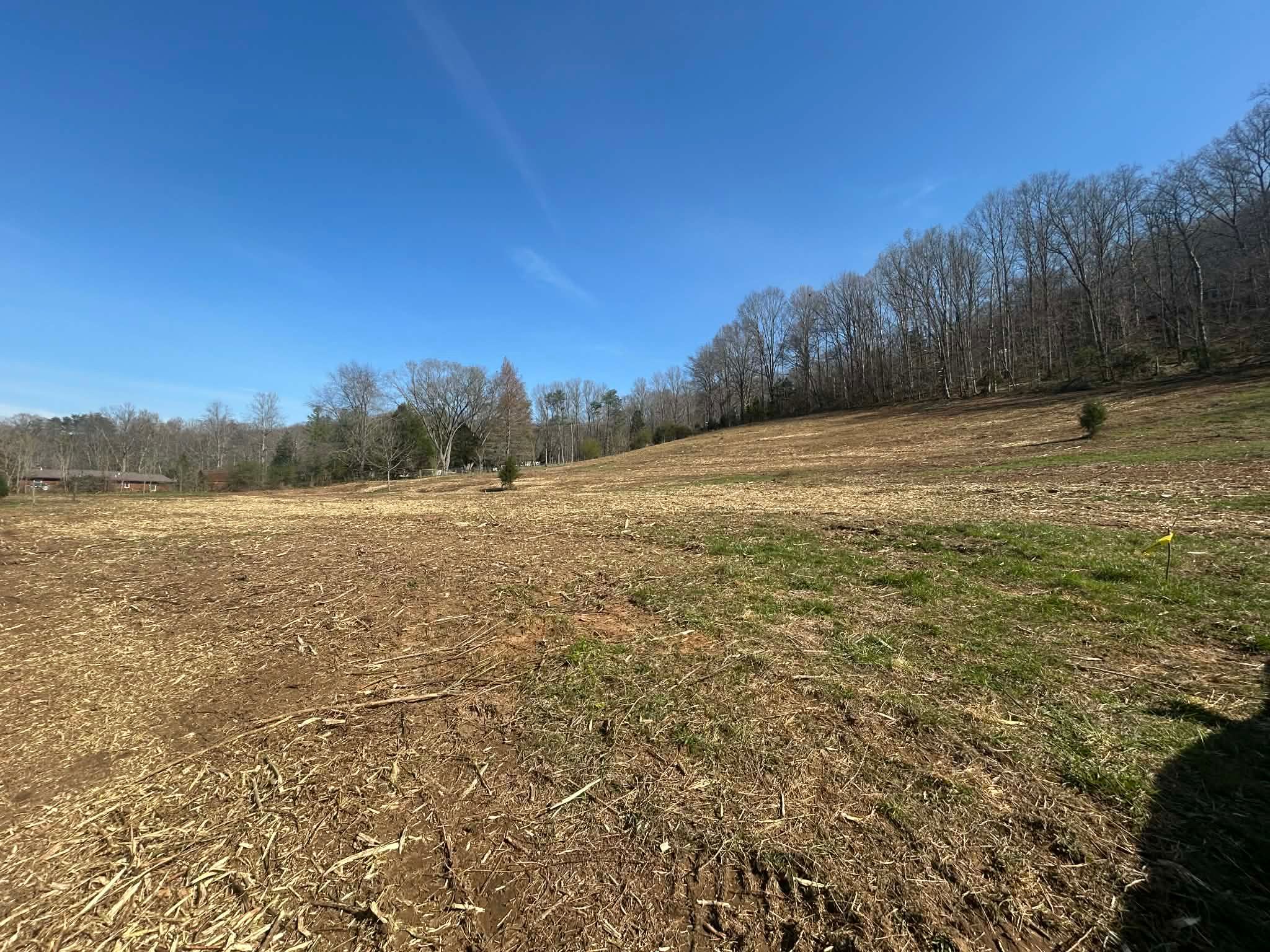  for Z's Land Management & Forestry Mulching in Smithville, TN