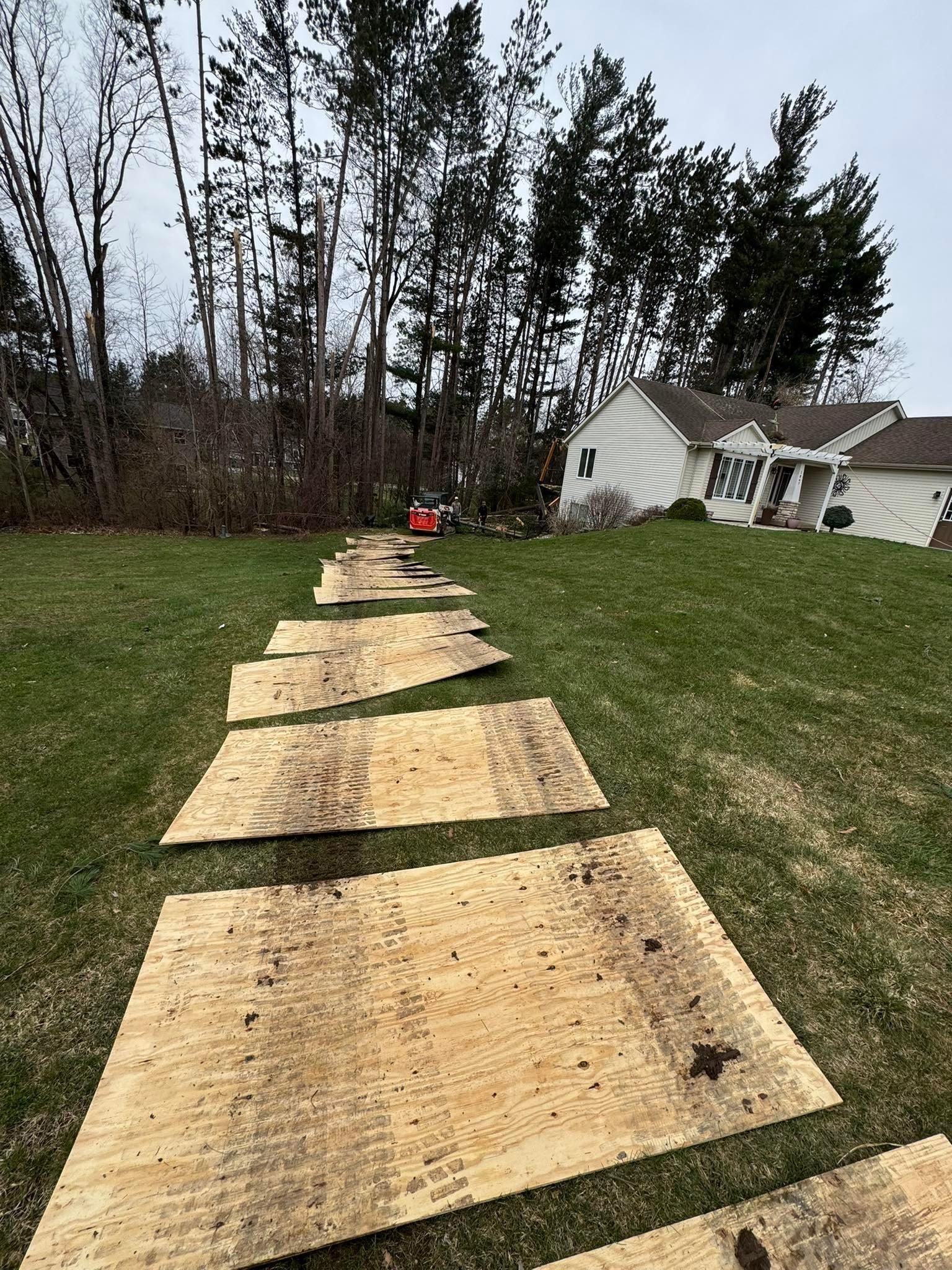  for Branching Out Tree Service in Hastings, MI