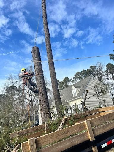  for Ricky's Tree Service & Property Care in Orange, VA