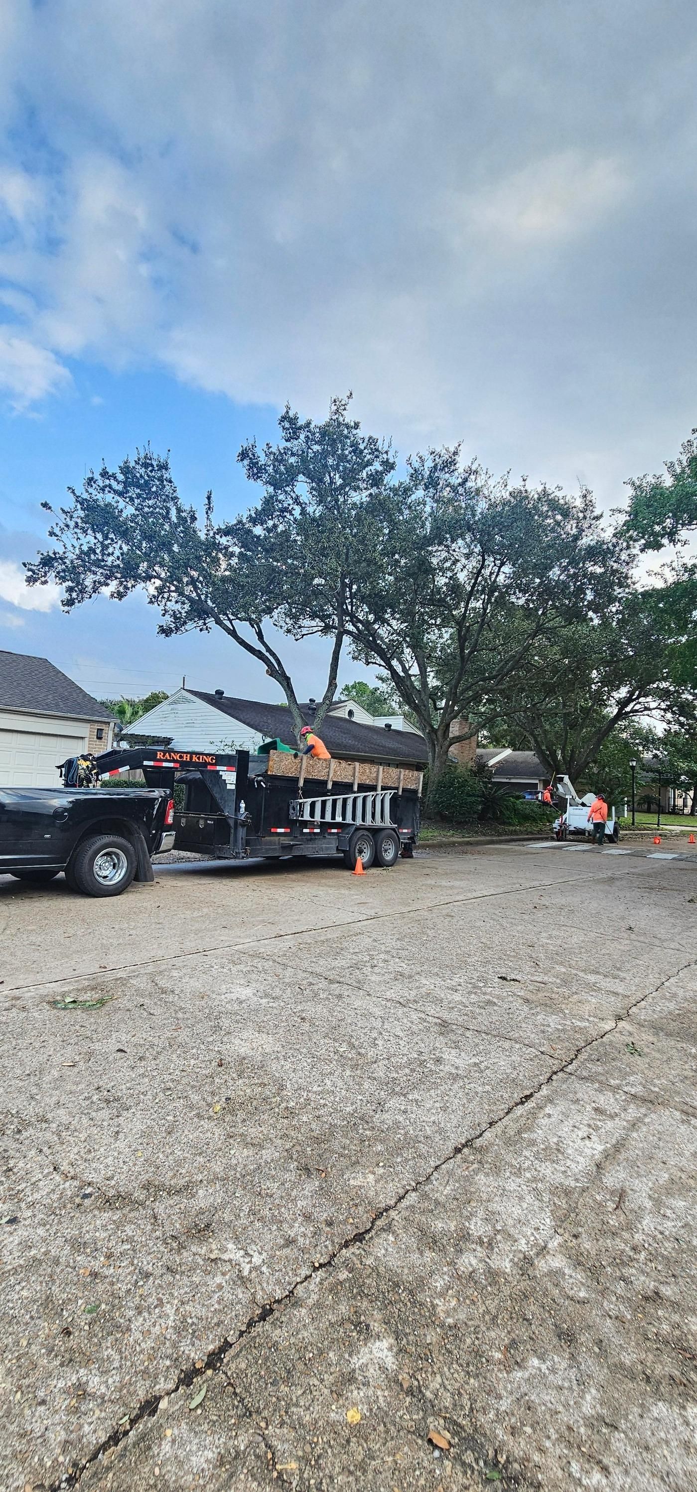  for Servin's Tree Care  in Houston, TX