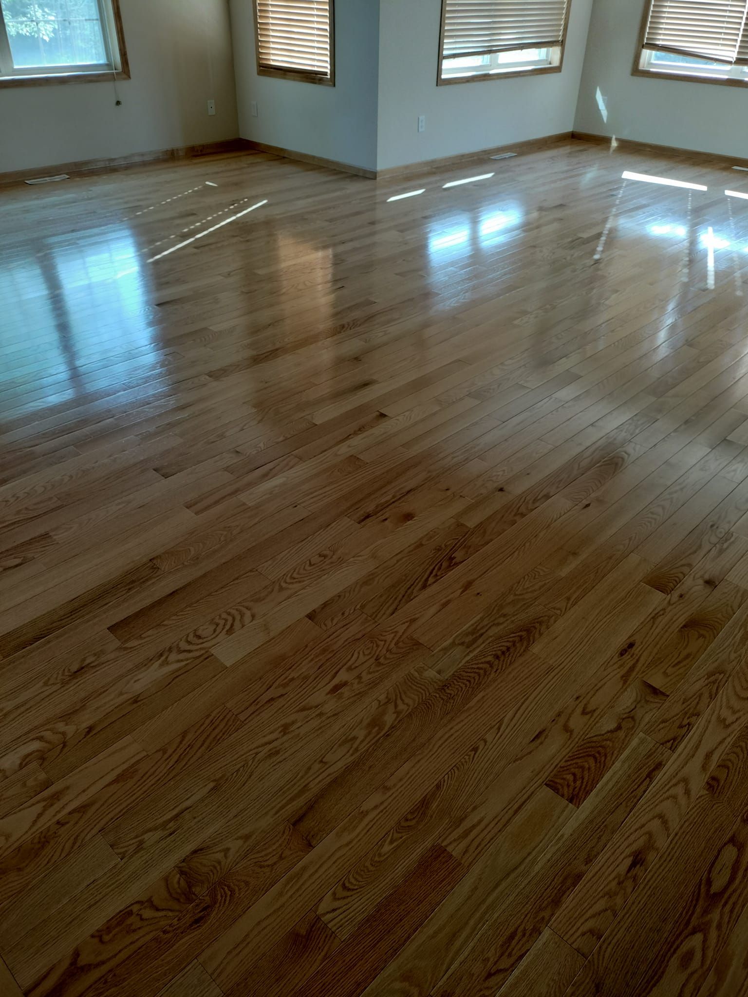  for Minnesota Floor Sanding & Installation in Lakeville, MN