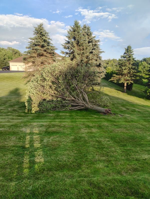All Photos for Big River lawn Care services and snow LLC in Wausau, WI