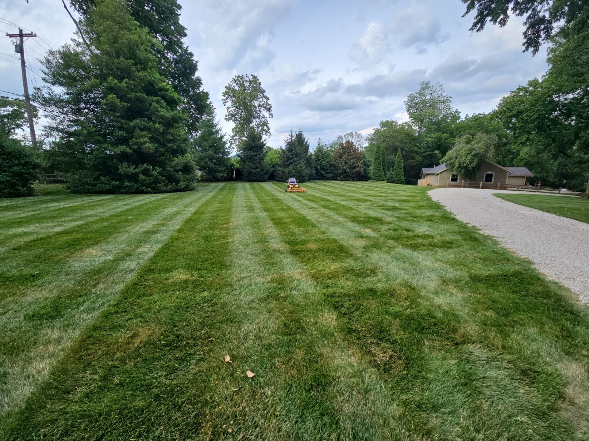  for The Grass Guys™ in Evansville, IN