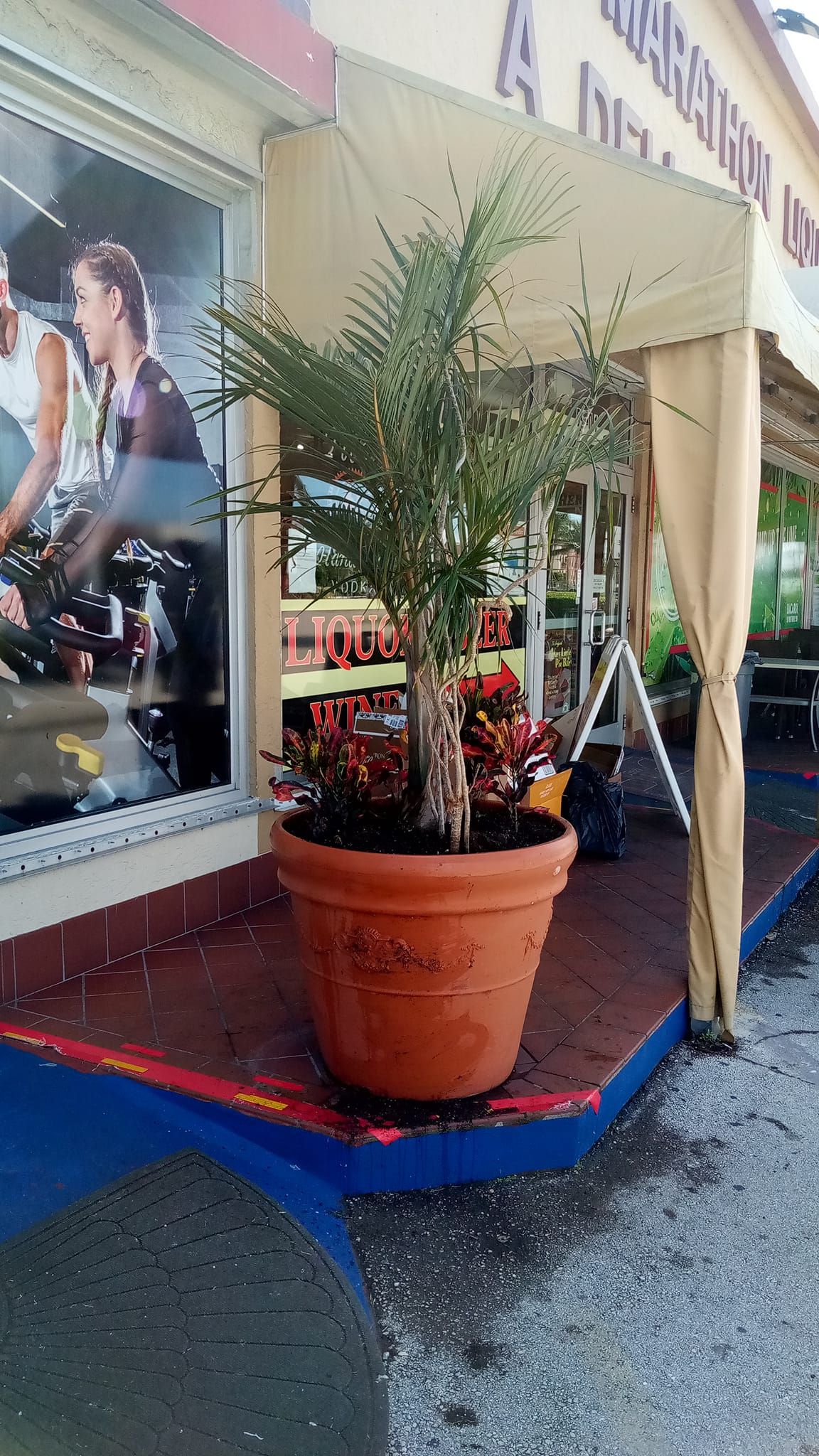  for Keys Yard Maintenance and Handyman in Marathon, FL