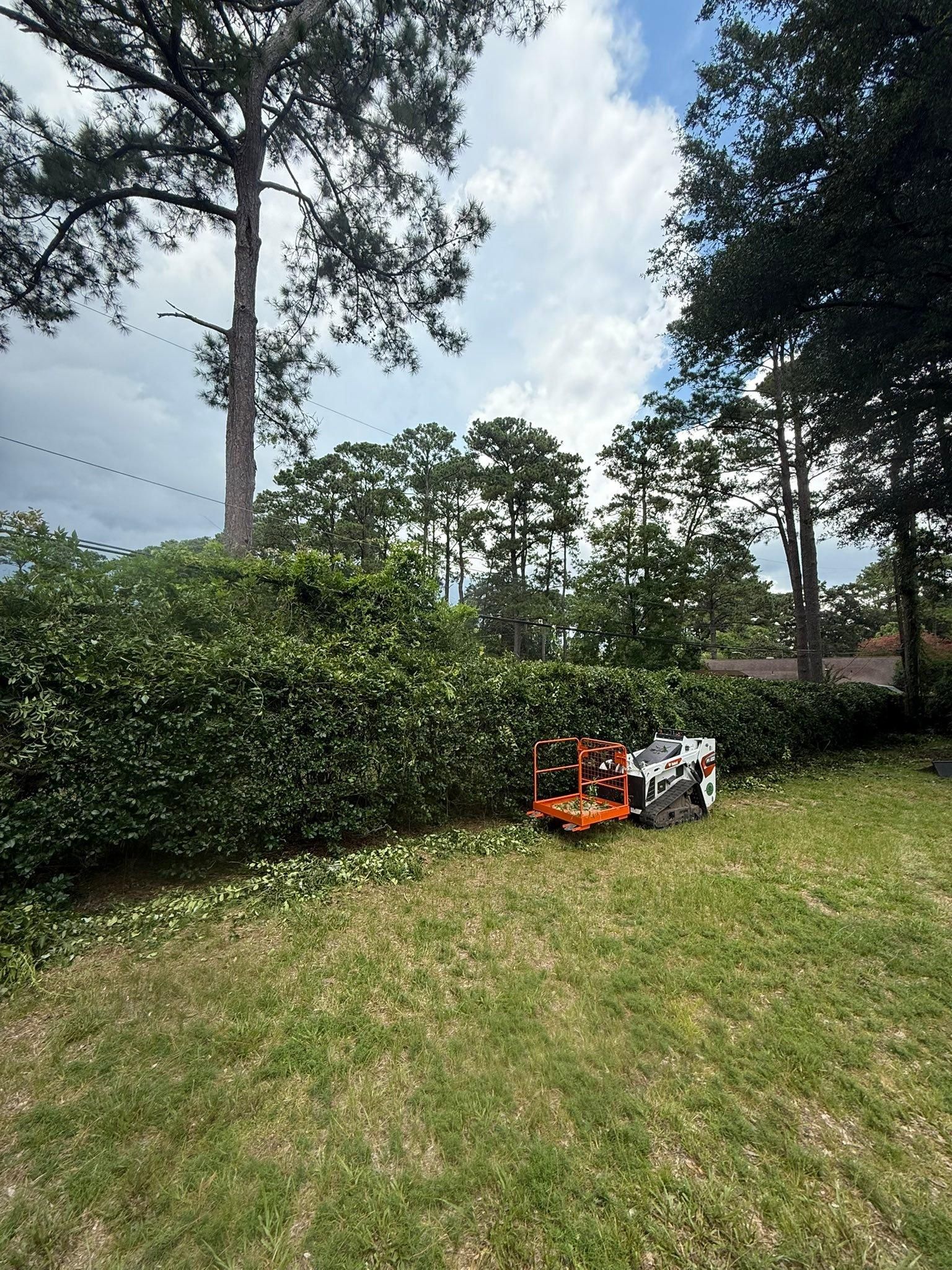  for Coastalscapes Landscaping & Turf Management  in Savannah, GA
