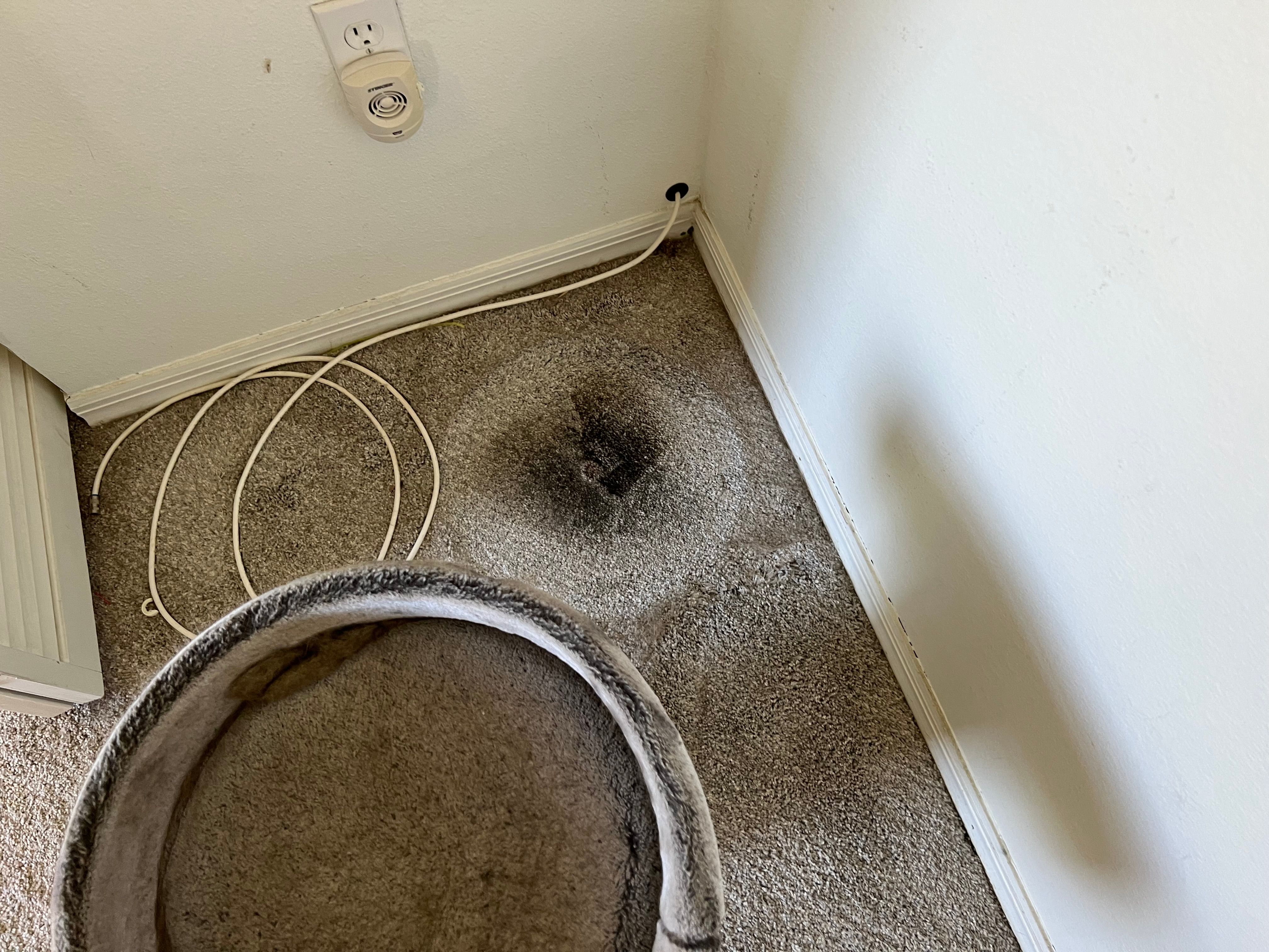  for N&D Restoration Services When Disaster Strikes, We Come In in Cape Coral,  FL