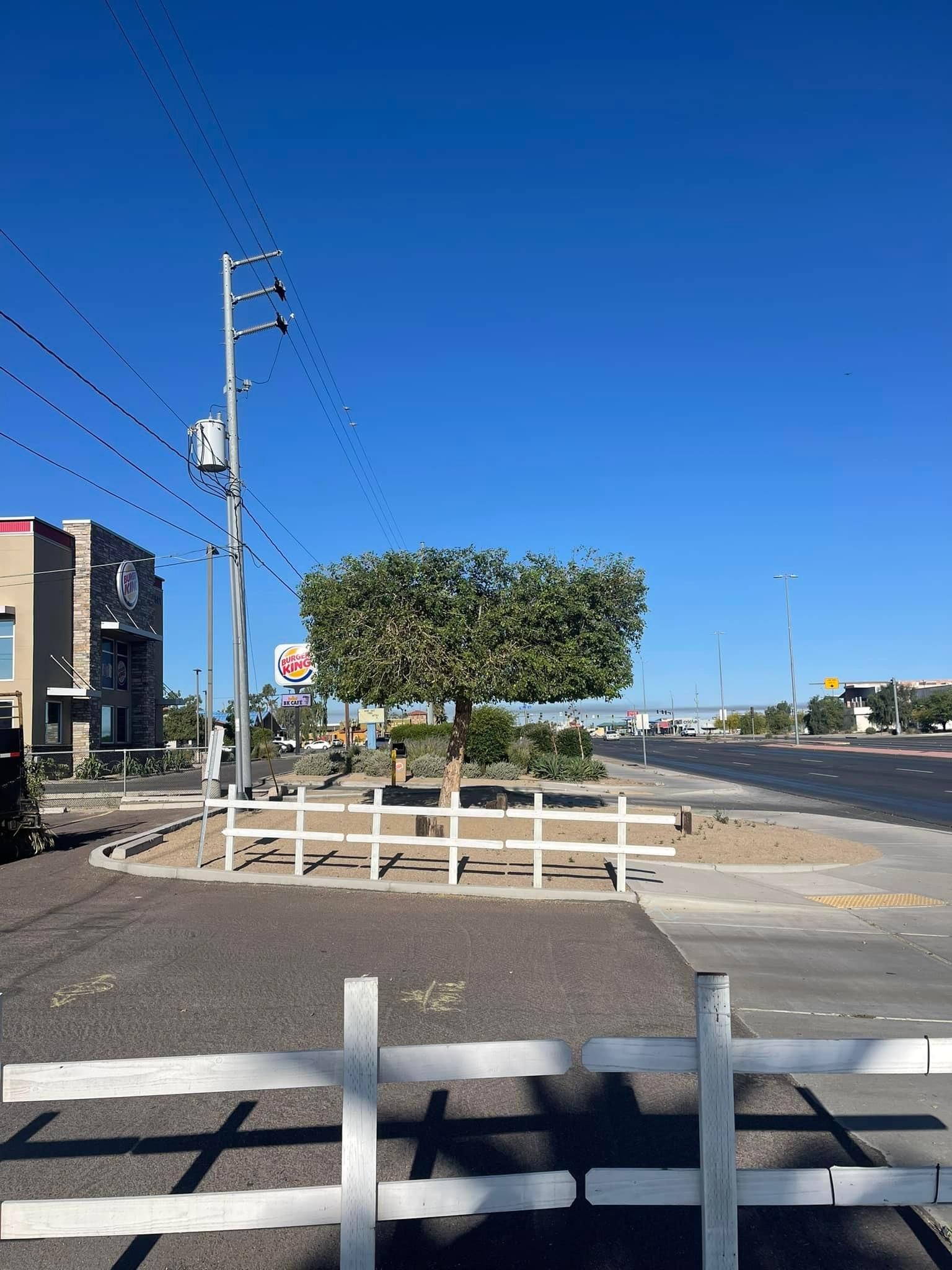  for Oliver L. Palm & Tree services in Yuma County, AZ