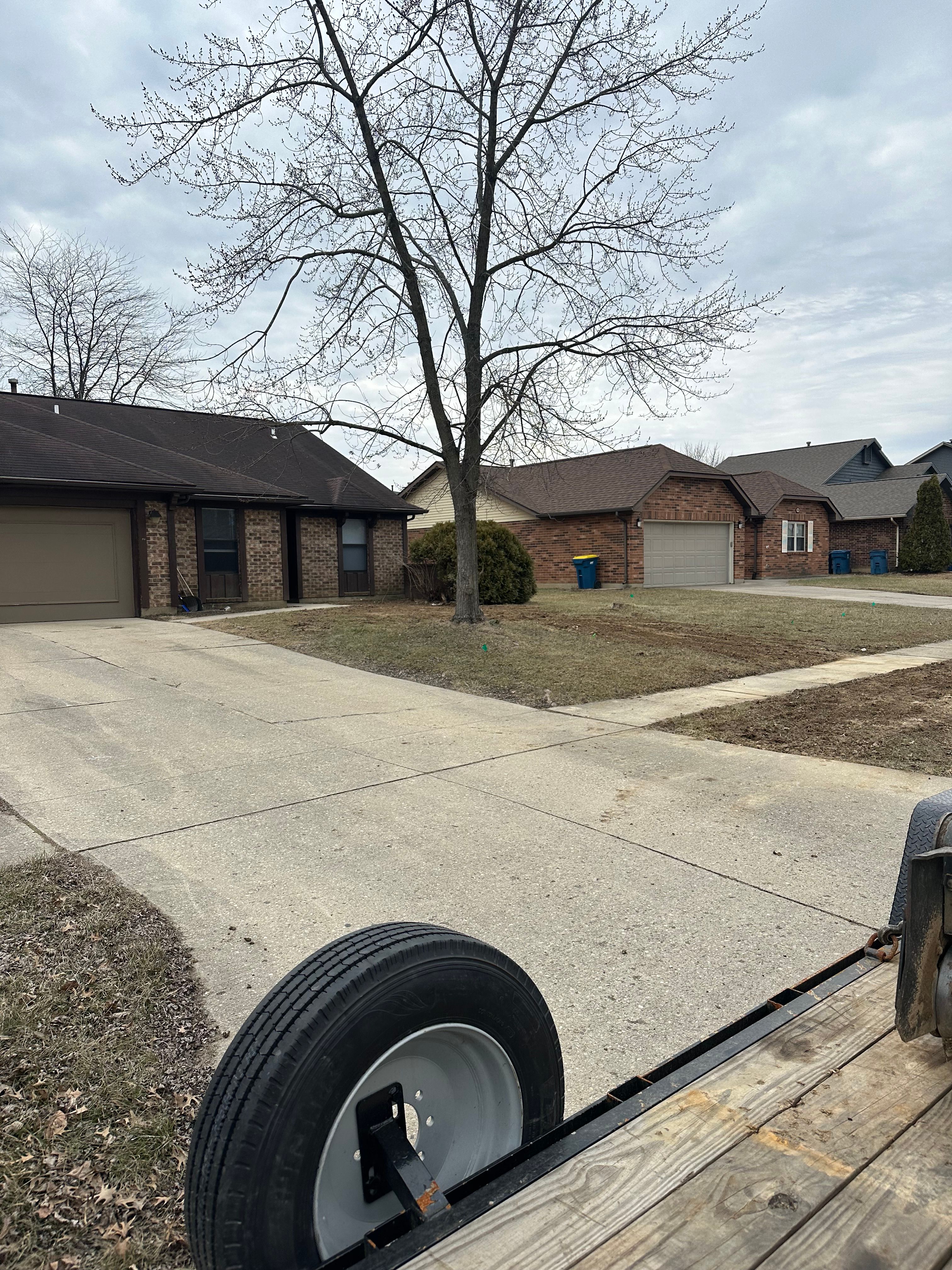 All Photos for Pro Tree Trim & Removal, Llc in Dayton, OH