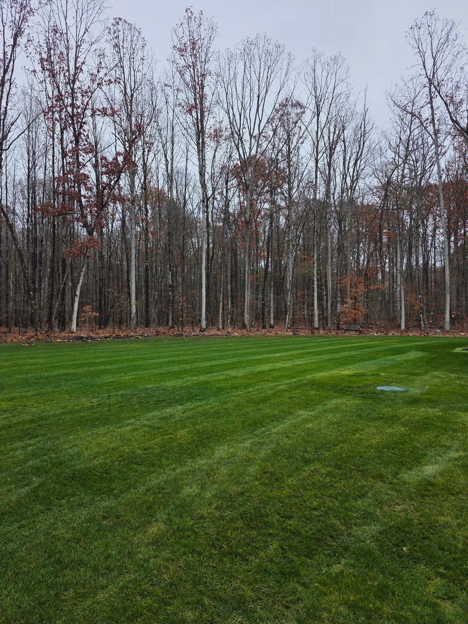 All Photos for Sweet Scapes in Ballston Spa, NY