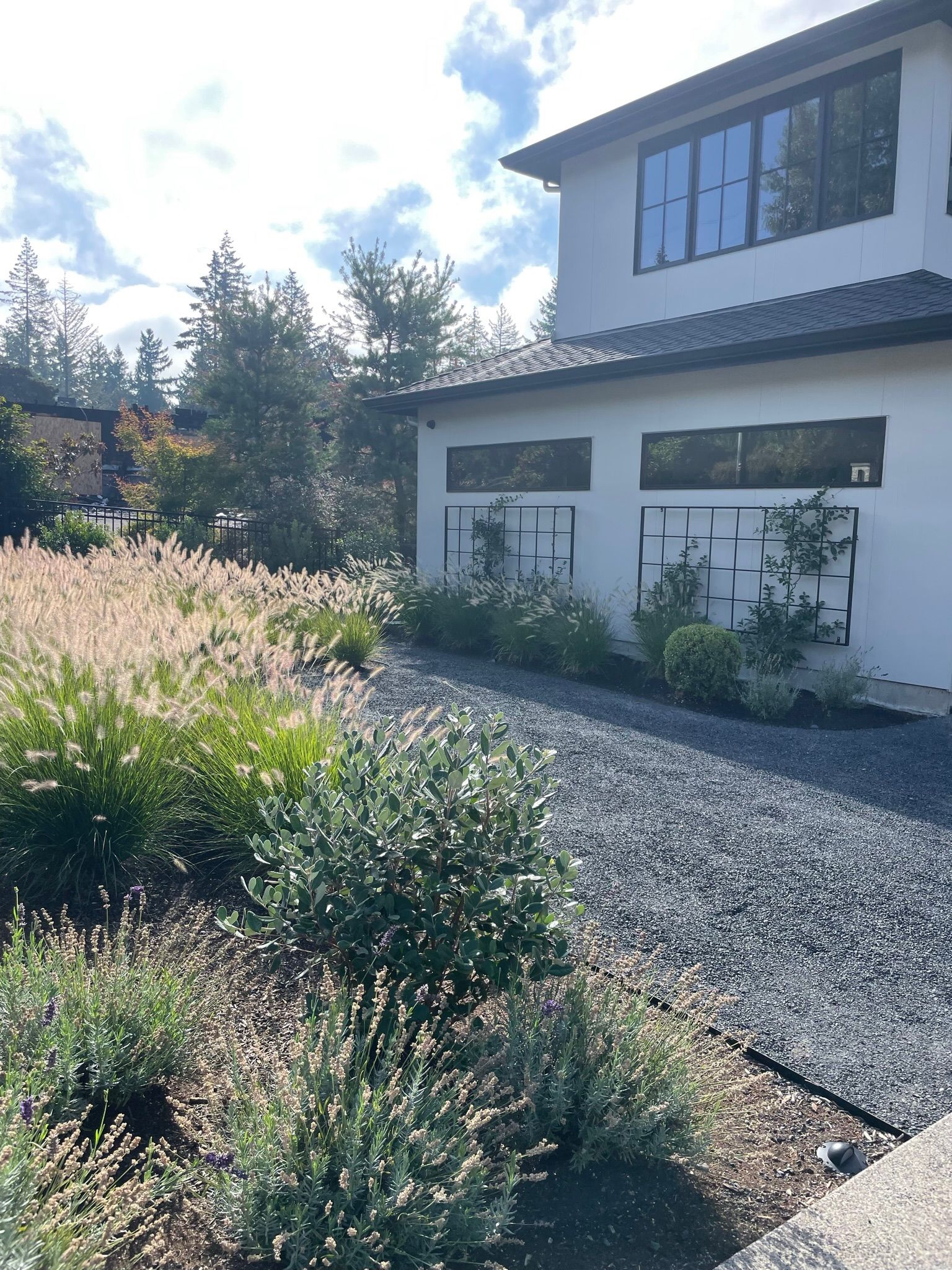  for Courtney Lewis Landscape Design in Portland, OR