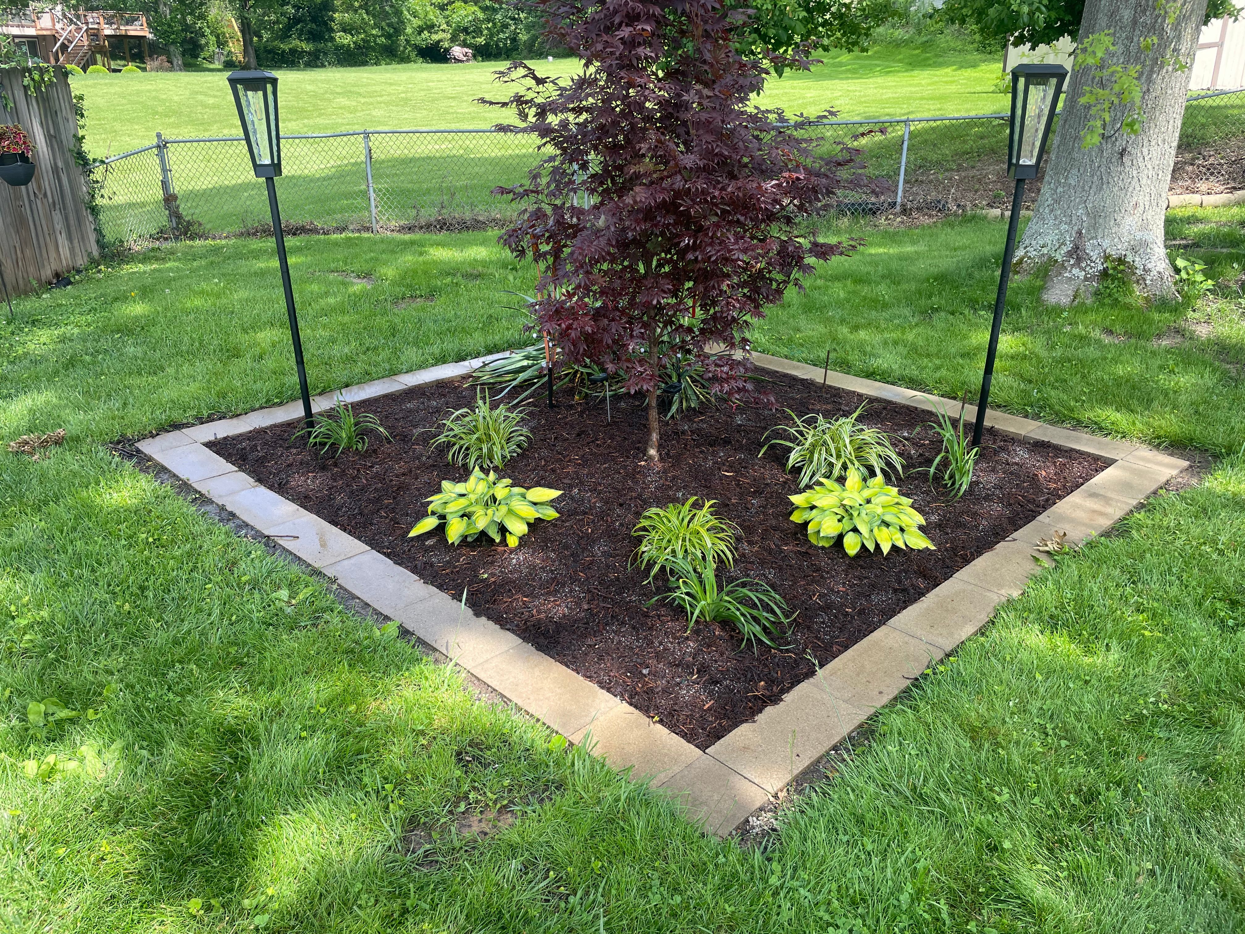  for Jackson Lawn Services LLC in St Louis, MO