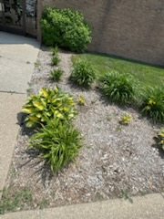 All Photos for Daugherty's Tough Lawn Care in Essexville, MI