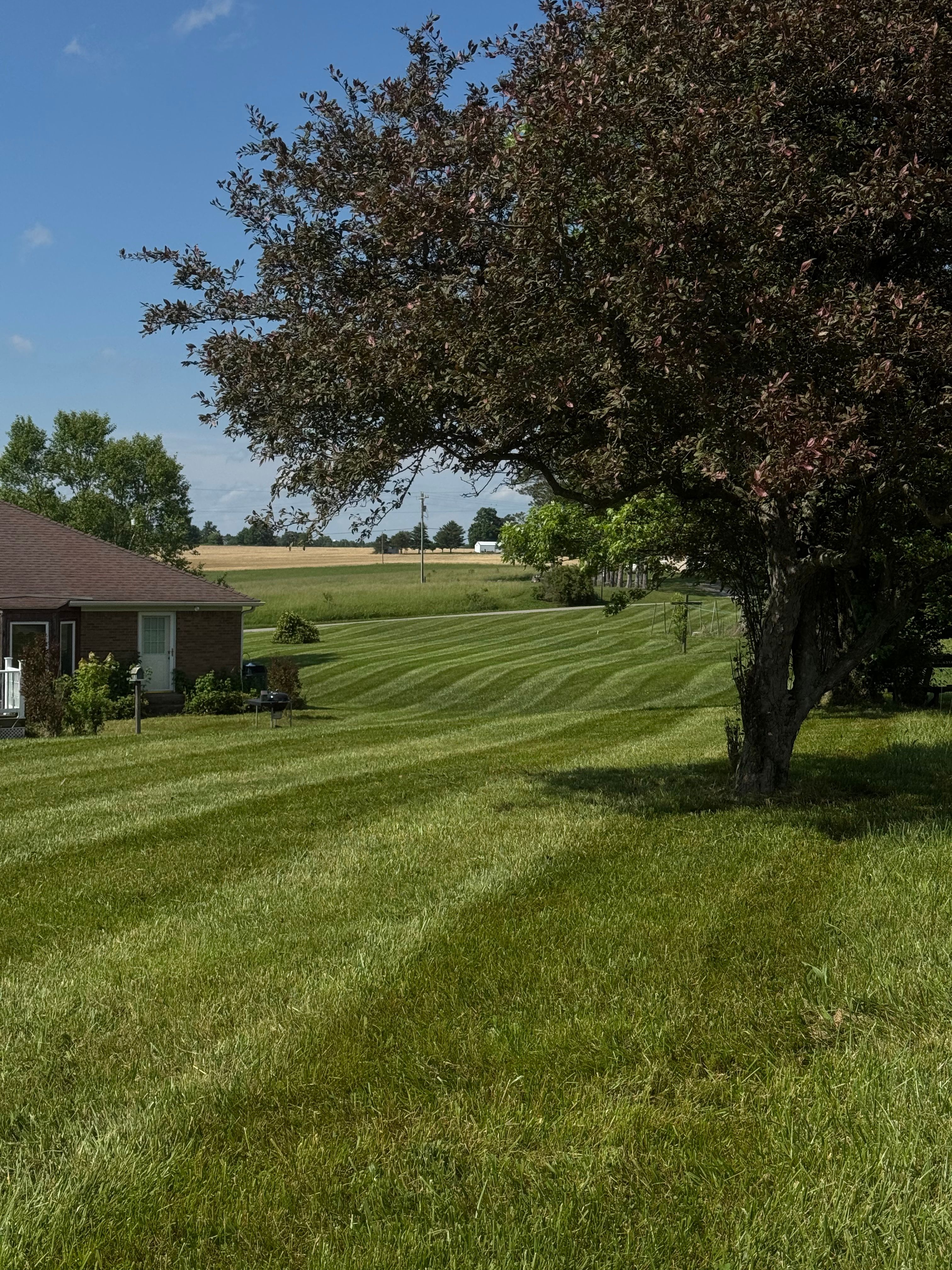  for Nicholson Lawn Care in Jeffersonville, IN