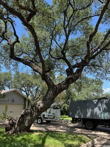  for Camerons Stump Grinding & Tree Services LLC in Austin, TX