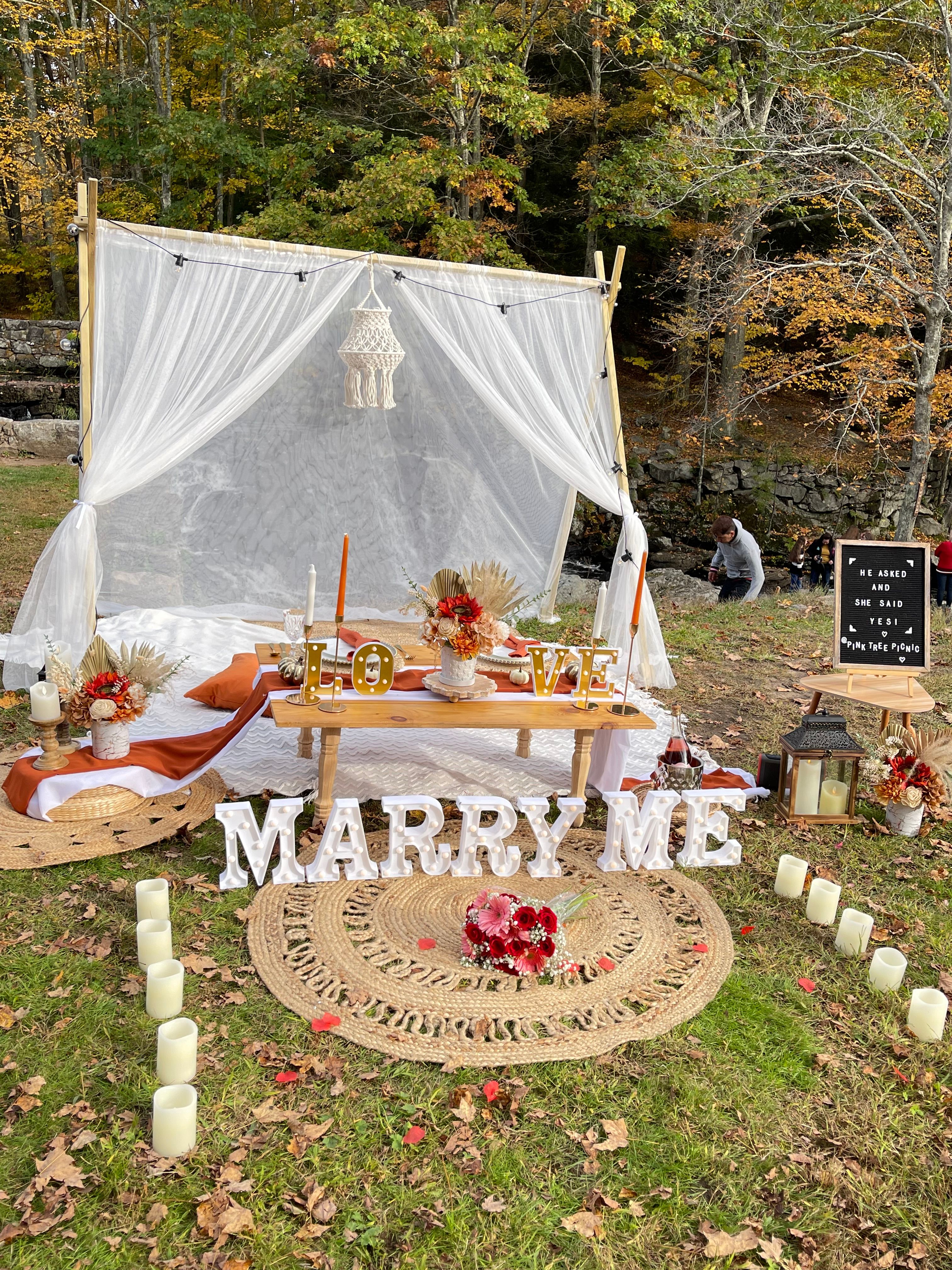  for Pink Tree Picnic in Hartford, CT