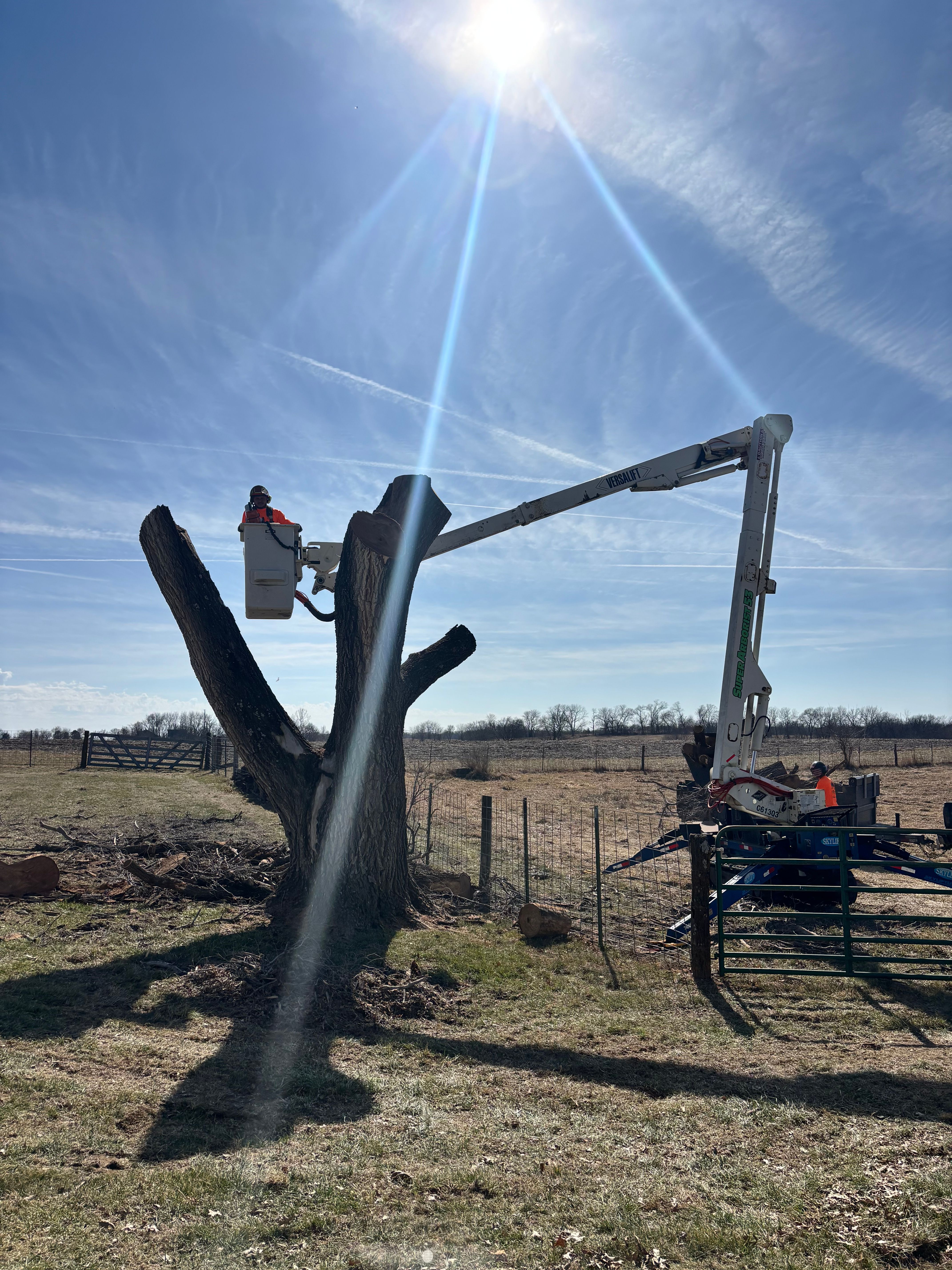 All Photos for Cross Family Tree Service in Kearney, MO