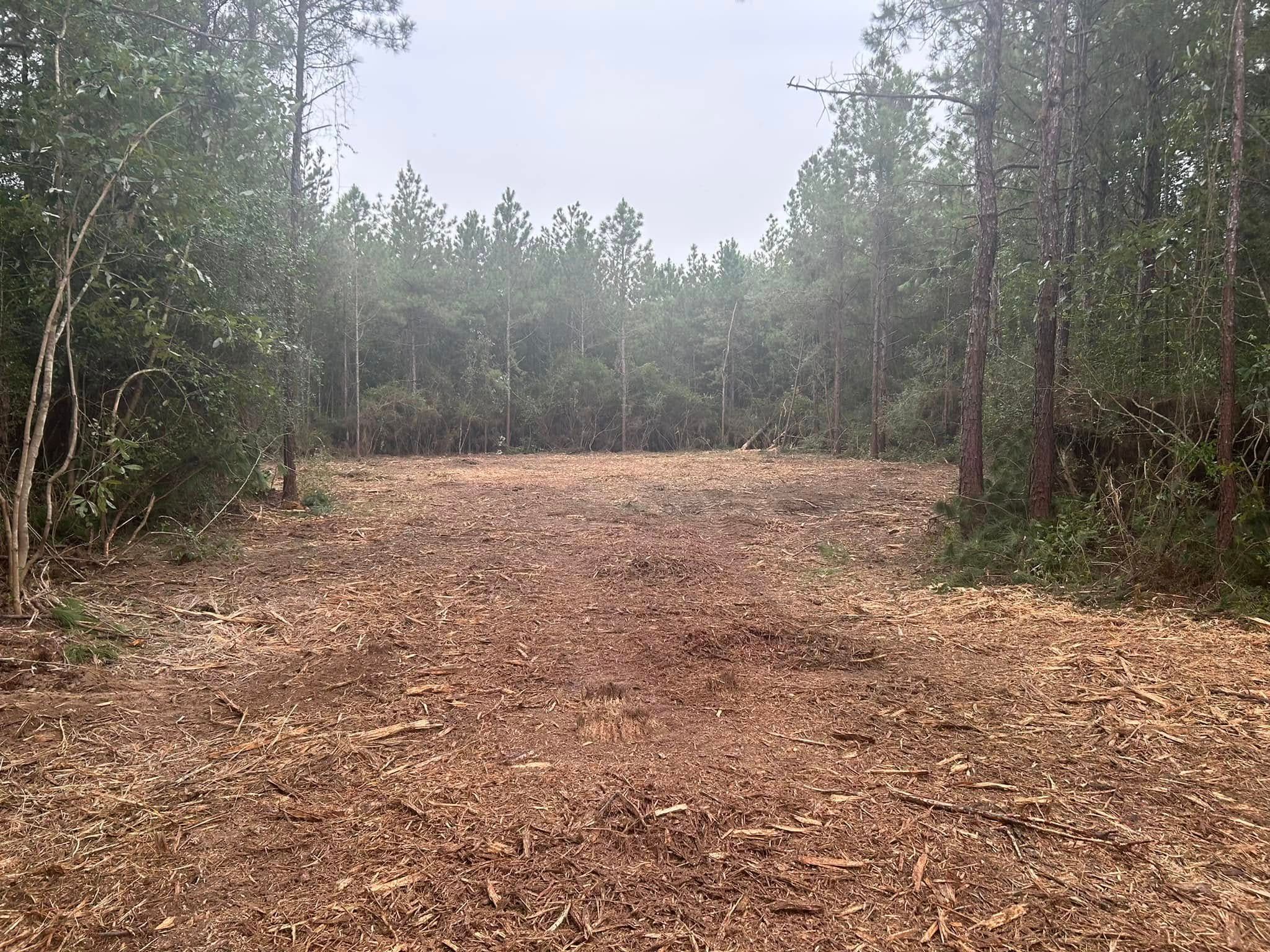  for Equality Contracting And Tree in Kountze, TX