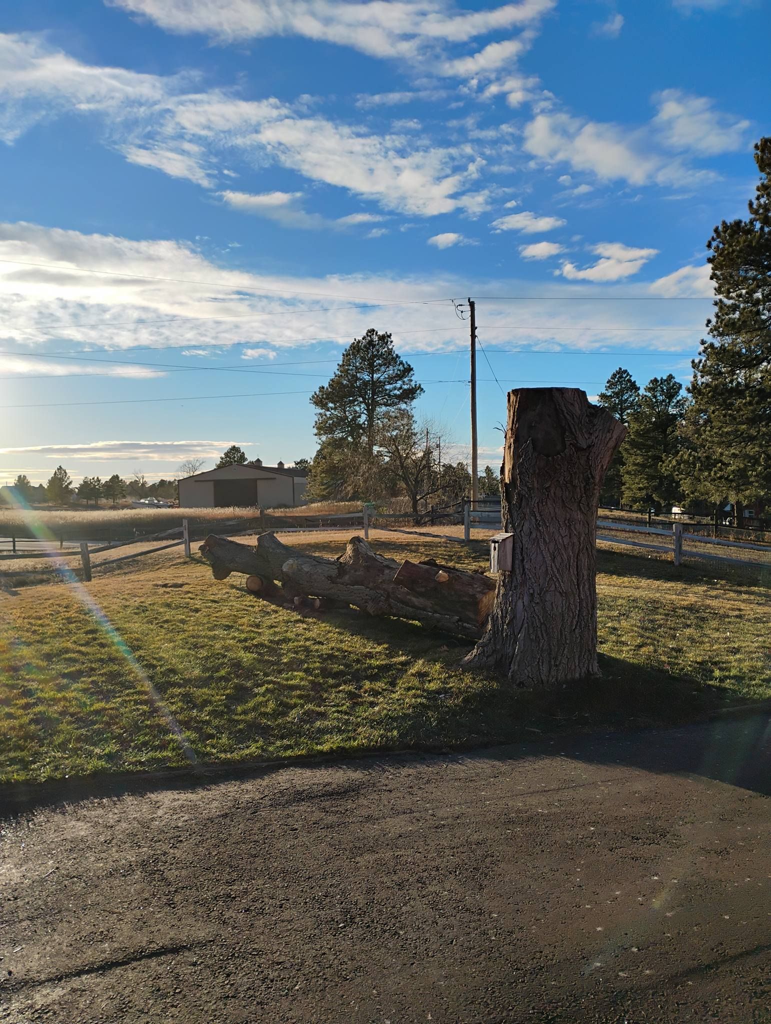  for Sloan Tree Service in Aurora, CO