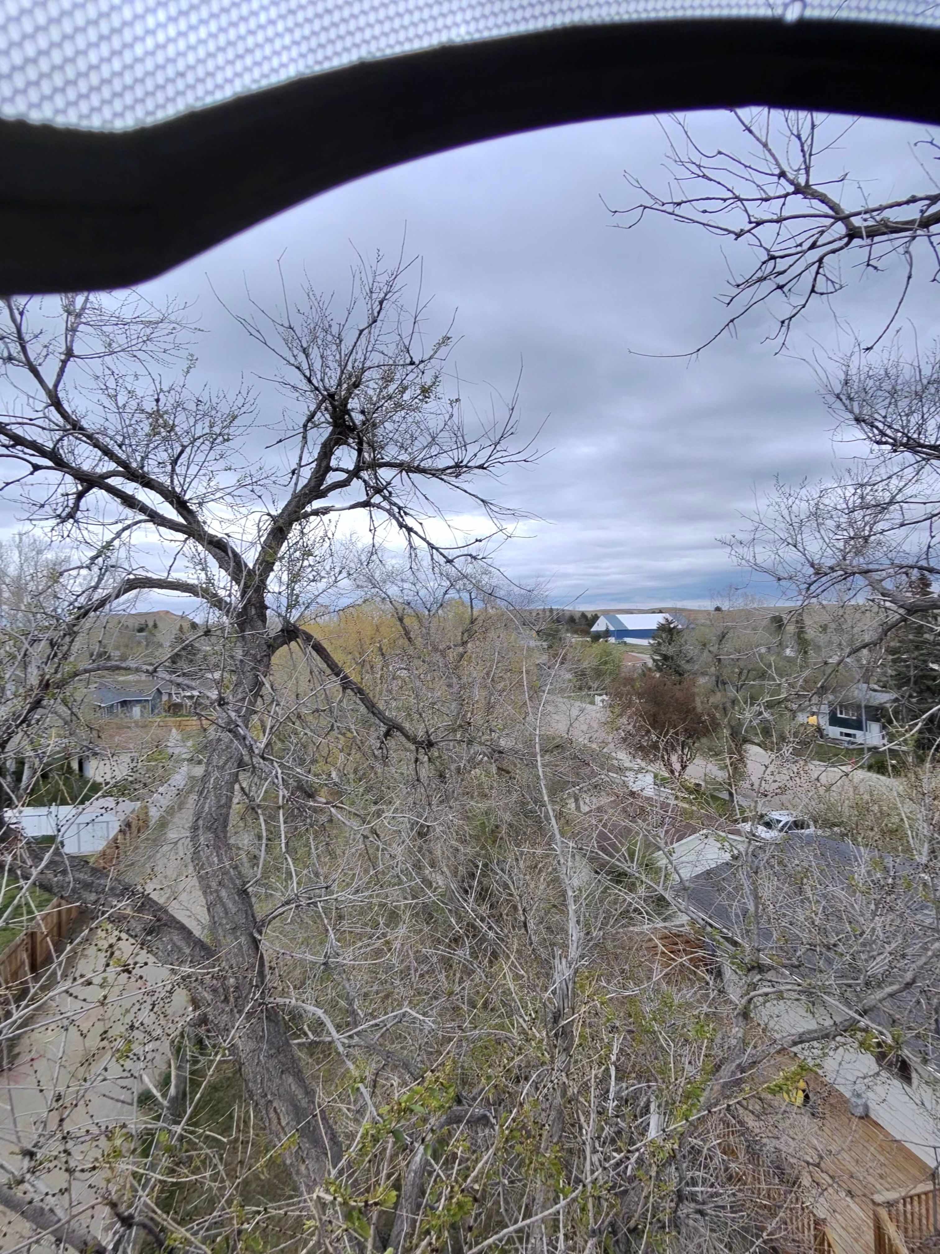  for Elevated Tree Care in Gillette, WY