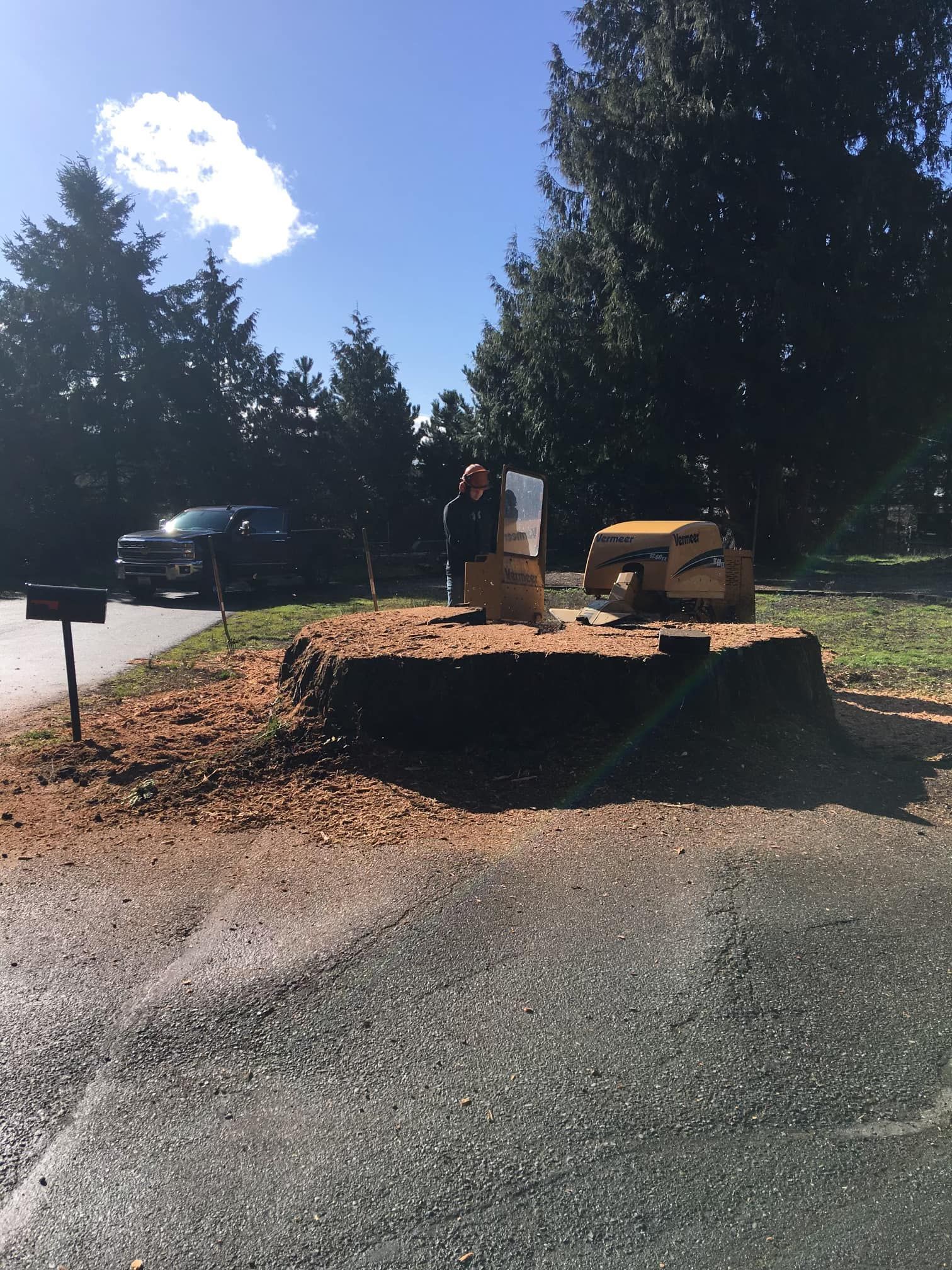  for Wilderness Stump Grinding in Orting, WA