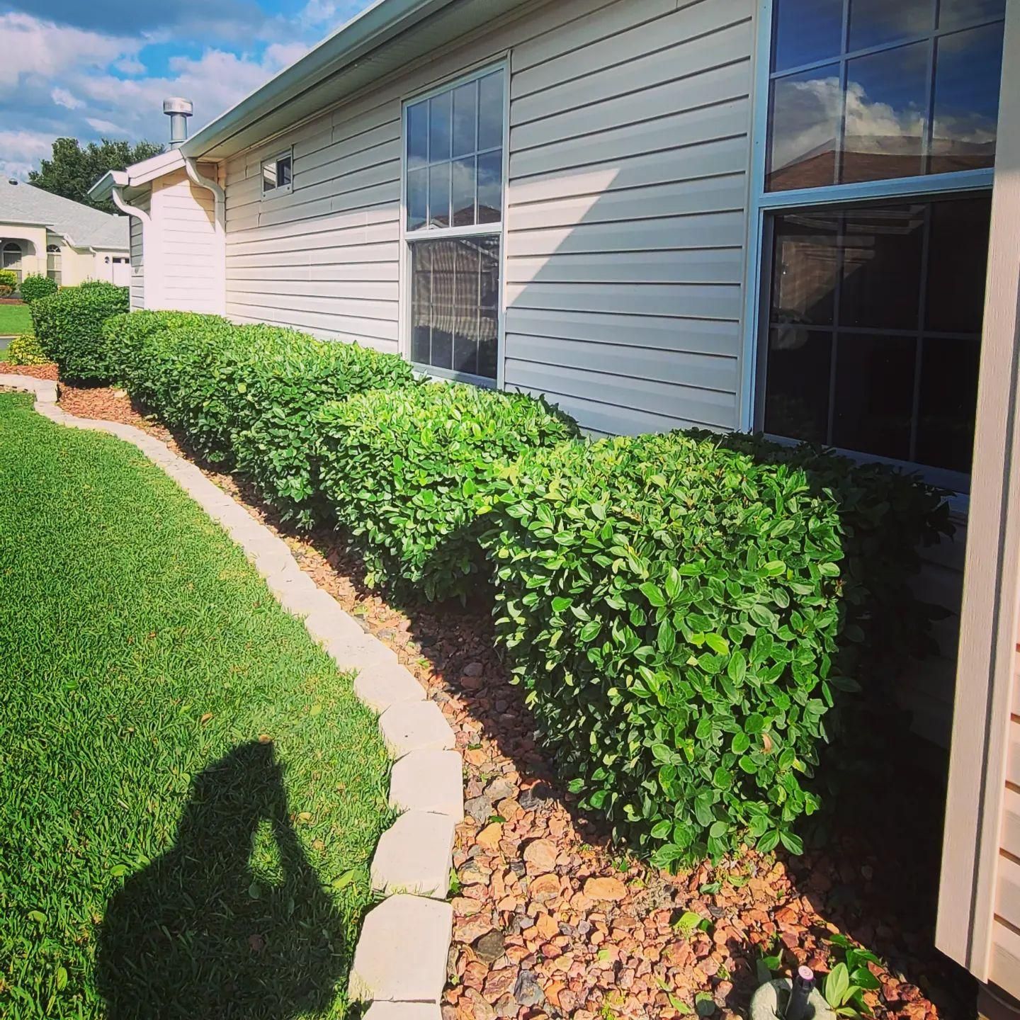  for TopNotch Landscaping Services  in The Villages, FL