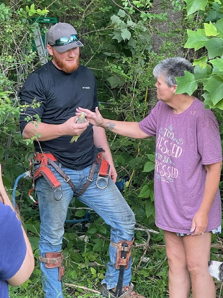  for Wade's Family Tree Service in Townsend, TN