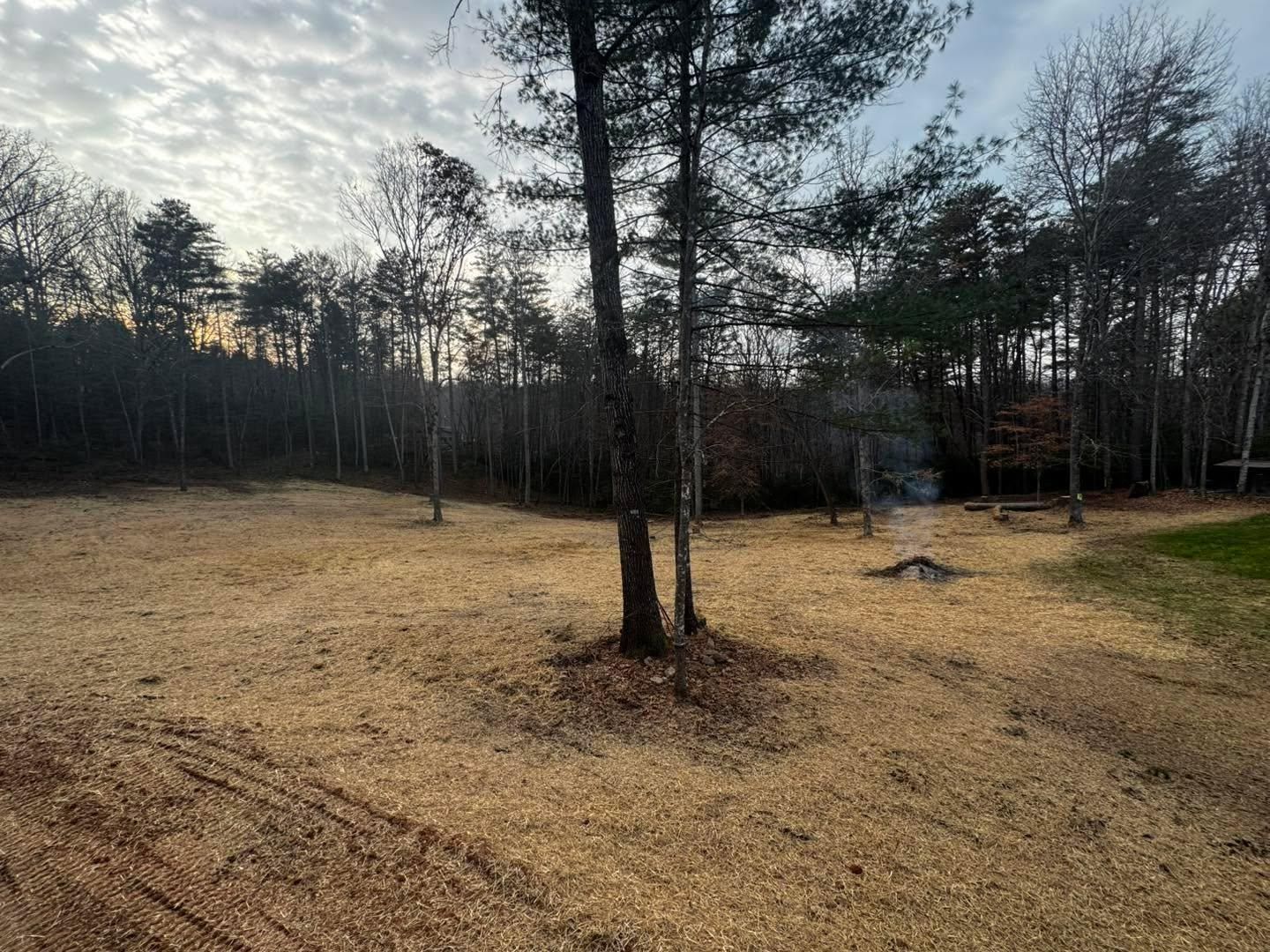  for C & D Landscaping Services, LLC in Blairsville, GA