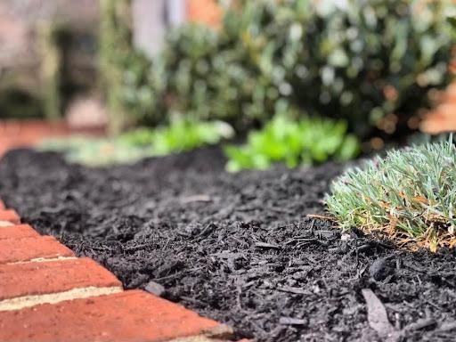  for Brighton Property Services in 21157, MD