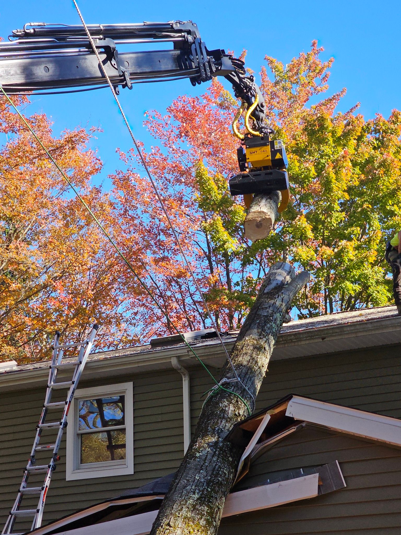  for AAA Tree Cutting in Shavertown, PA