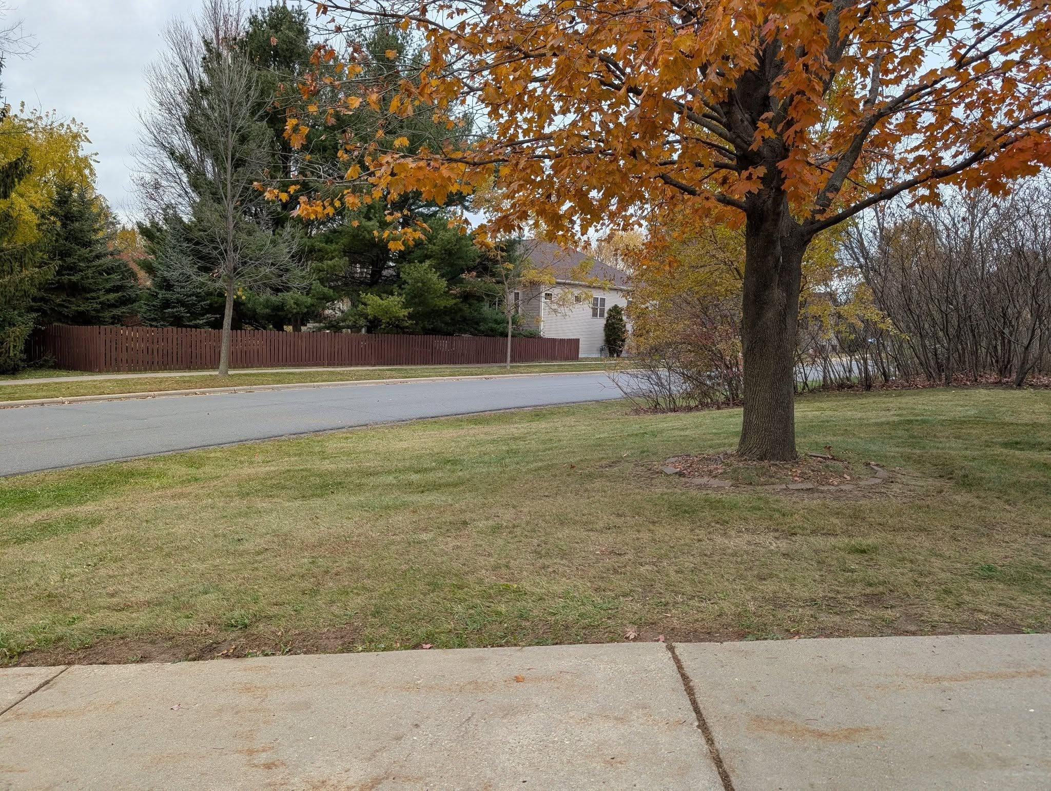  for TCB Lawn Care & Snow Removal in Sun Prairie, WI