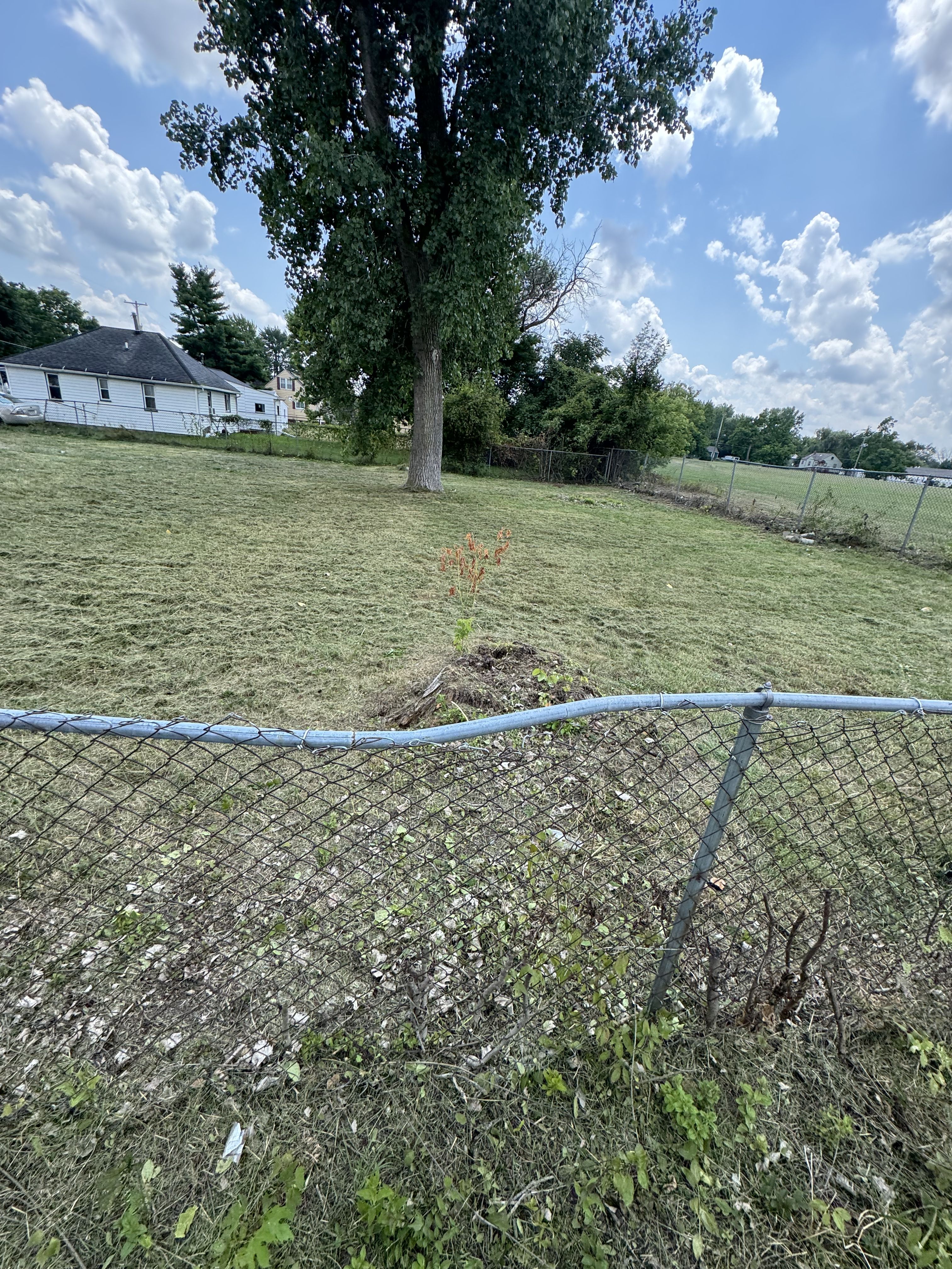  for Daugherty's Tough Lawn Care in Essexville, MI