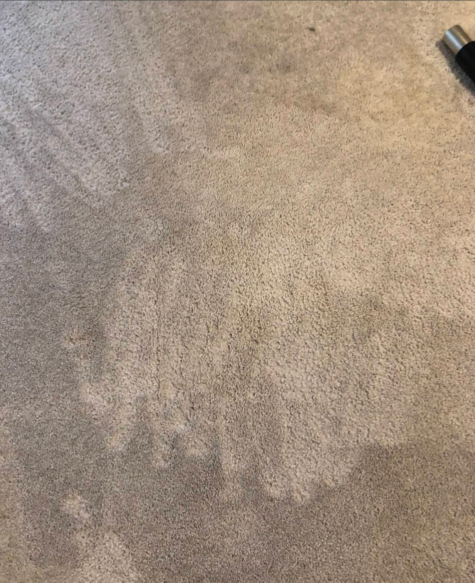  for Banderas Cleaning Service in Elsmere, DE