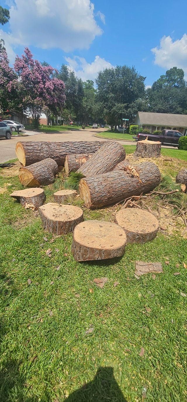  for Servin's Tree Care  in Houston, TX