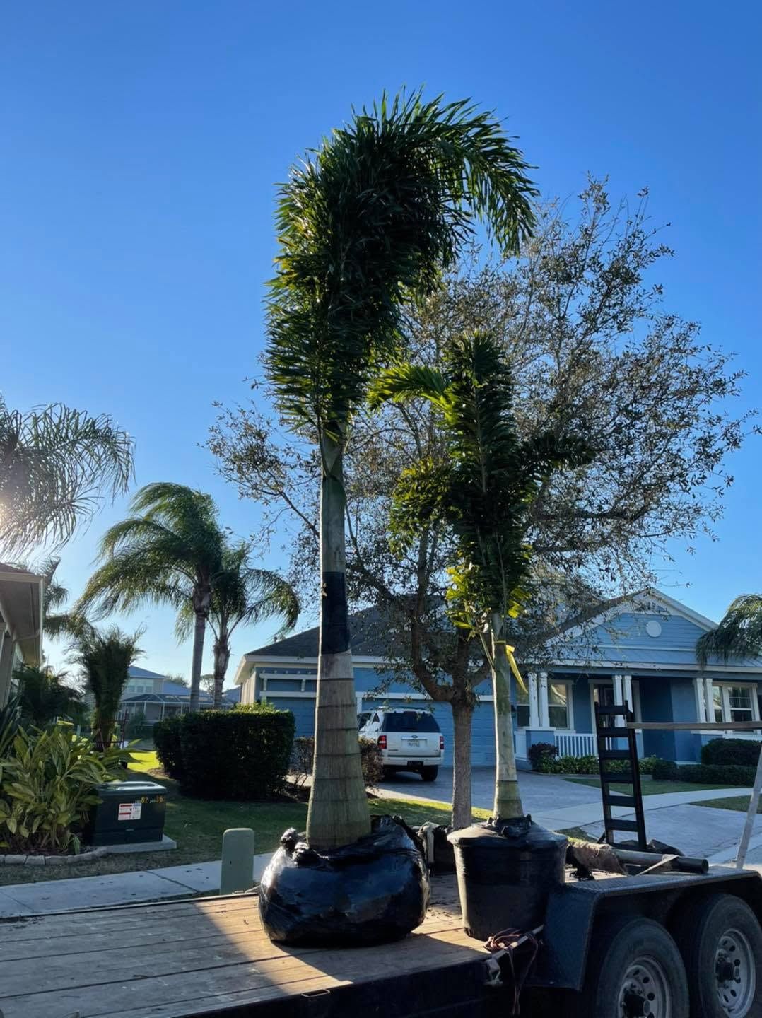  for Plant World LLC in Cape Coral, FL