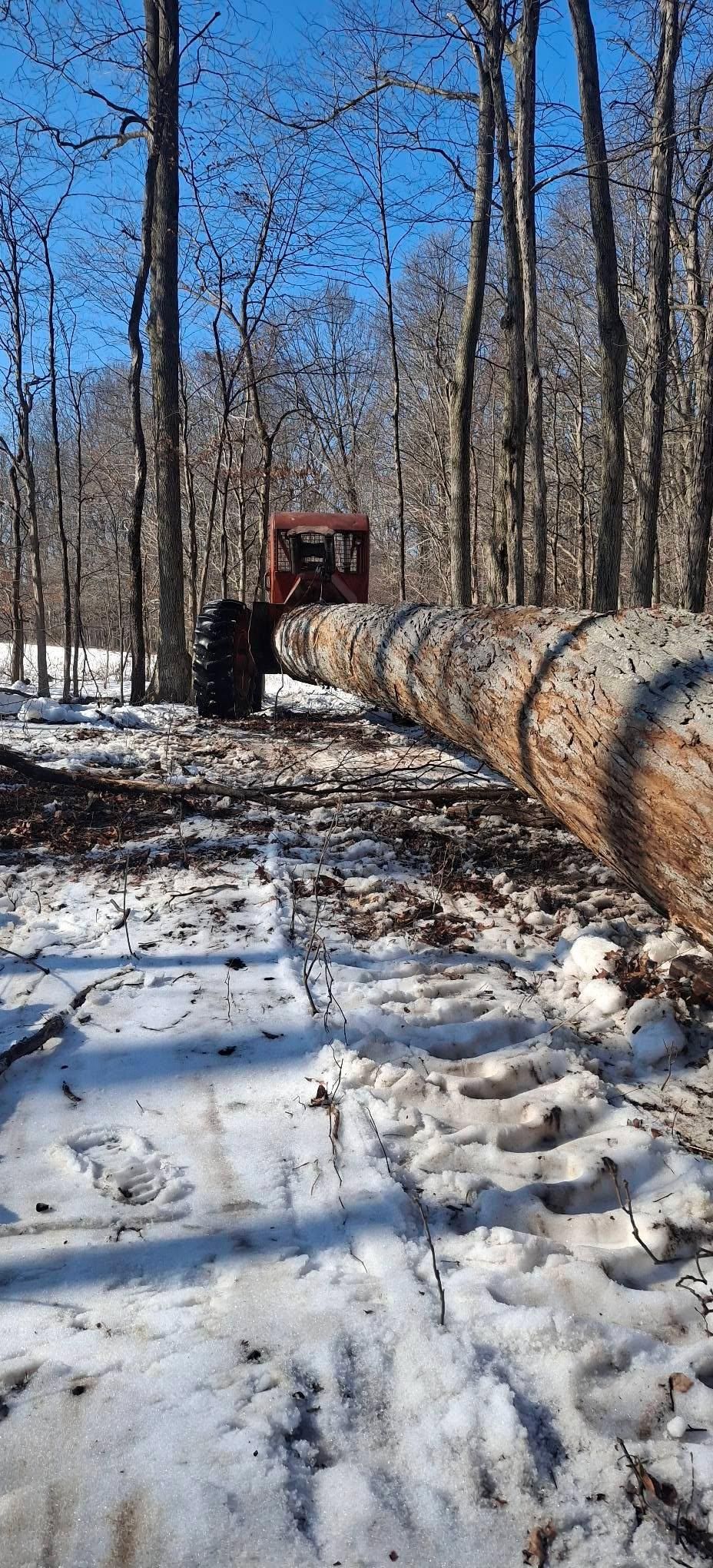  for God's Country Timber Management in Hillsdale, MI