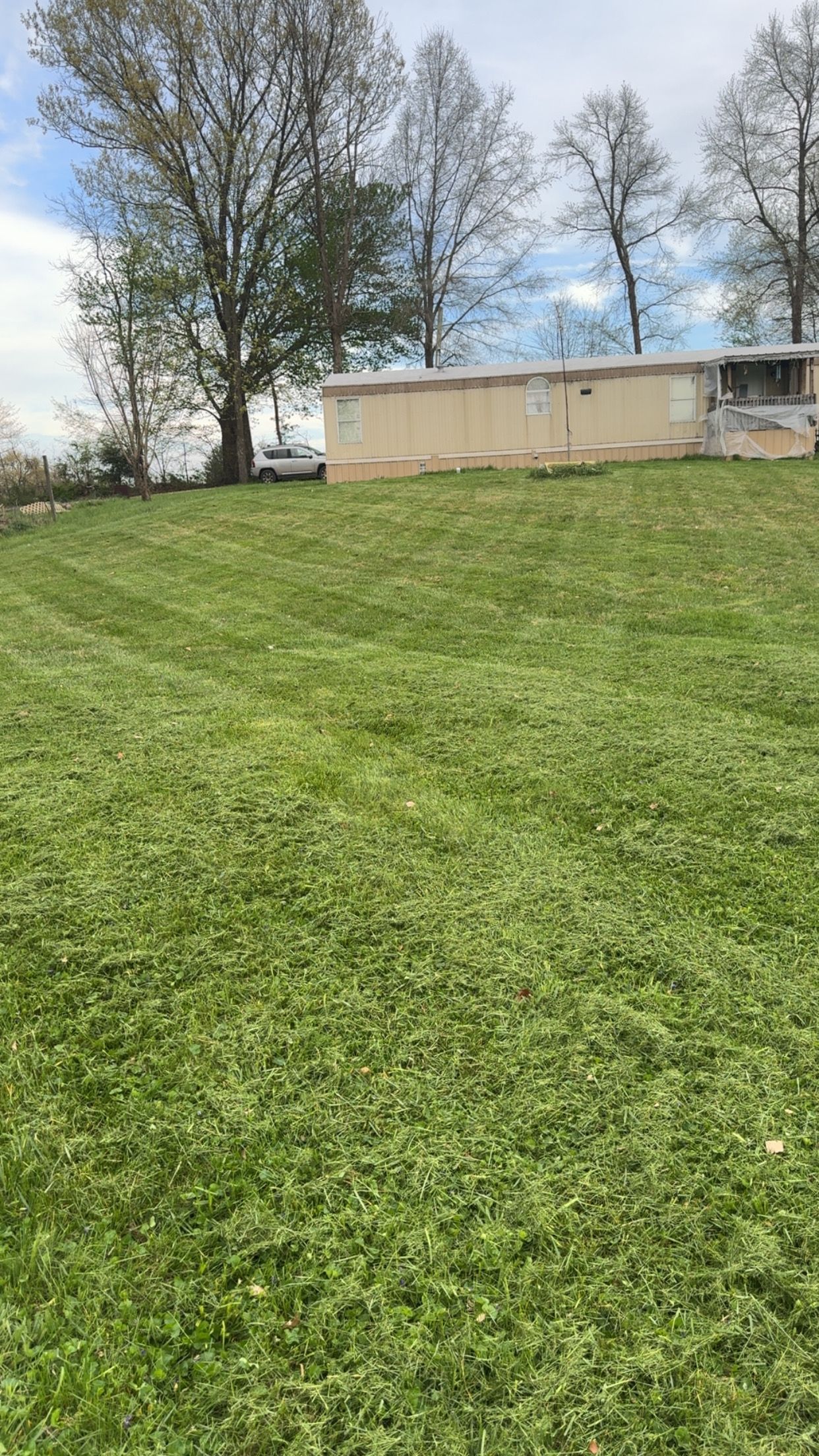 All Photos for The Yard Barbers in Somerset, KY