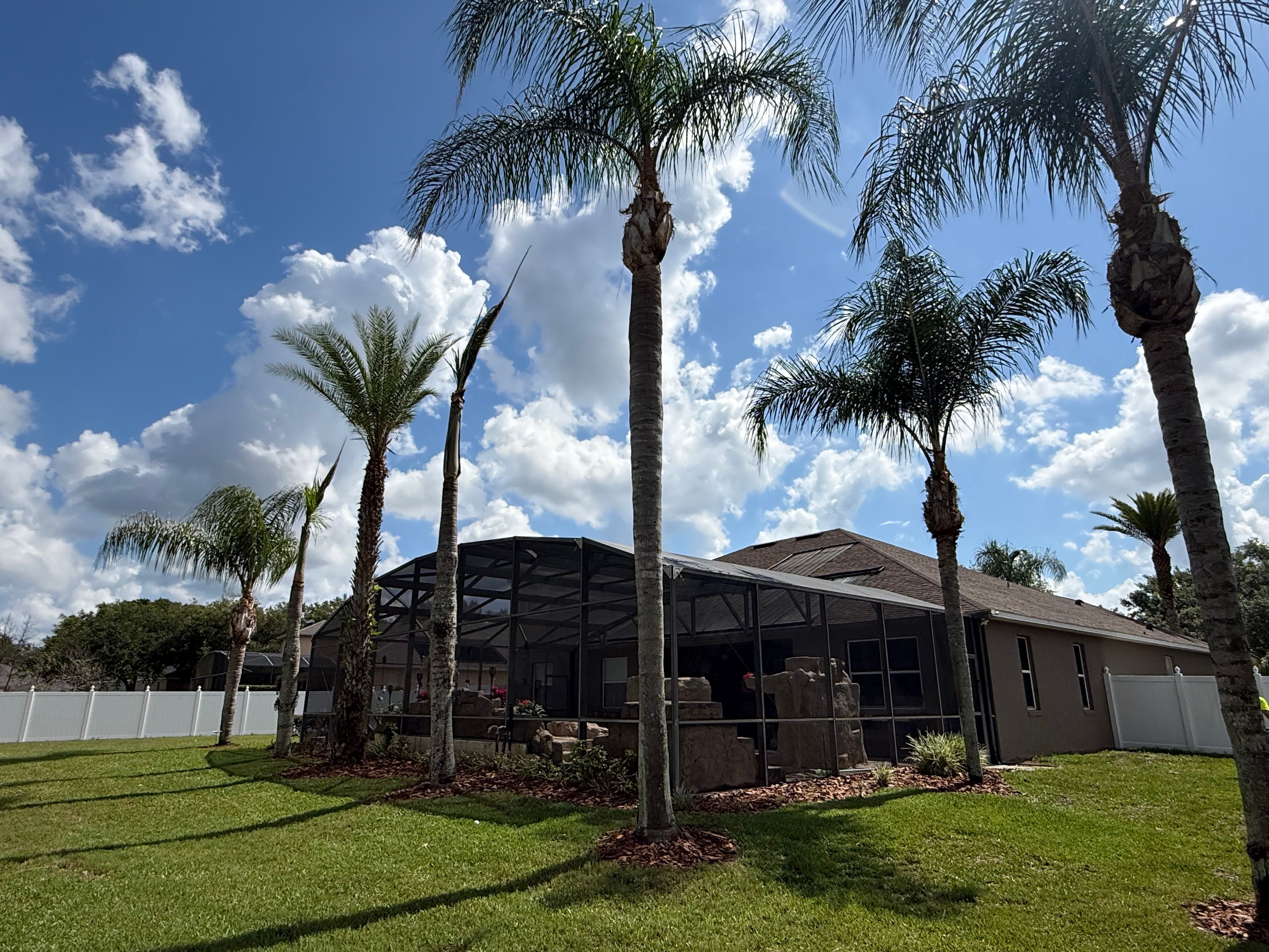  for Amerigrown Tree And Lawn in Apopka, FL