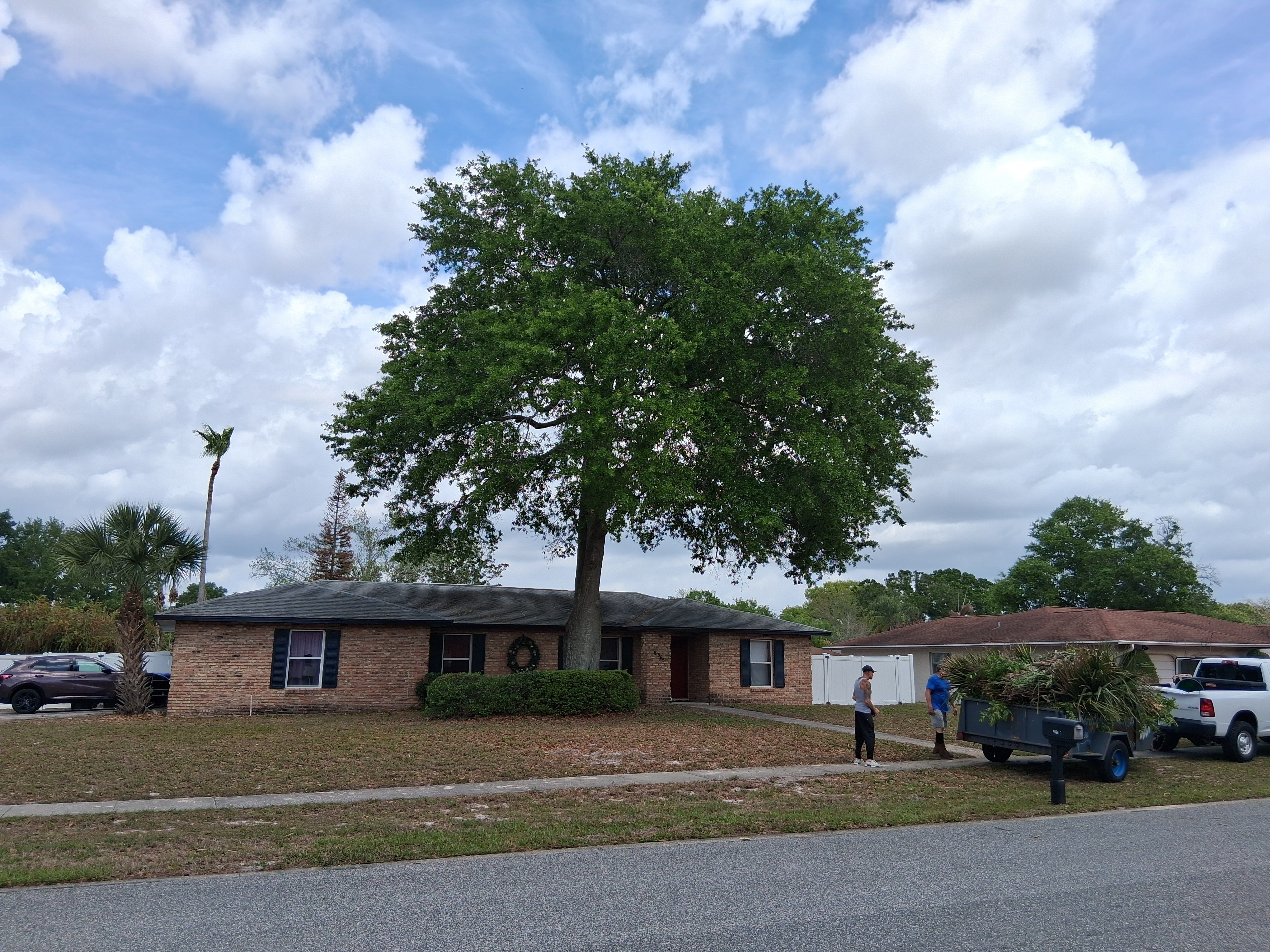  for A Southern Style Tree Service in Orlando, FL