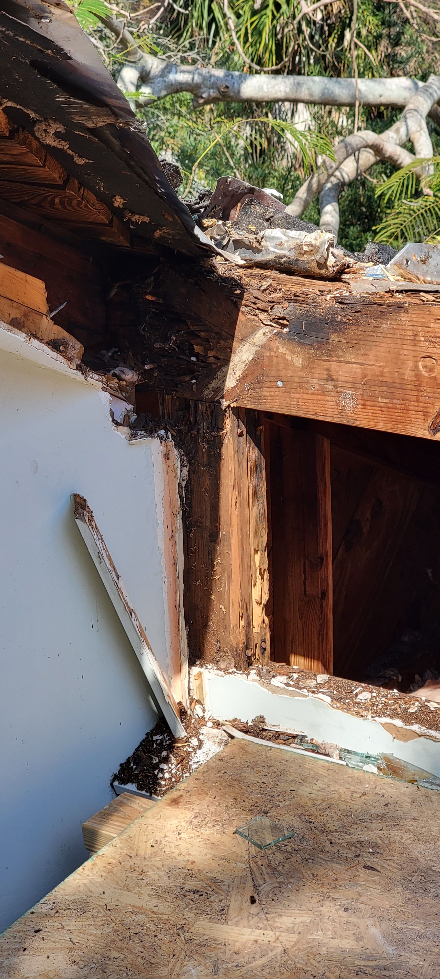  for Millenium Construction & Property Management in Tampa, FL