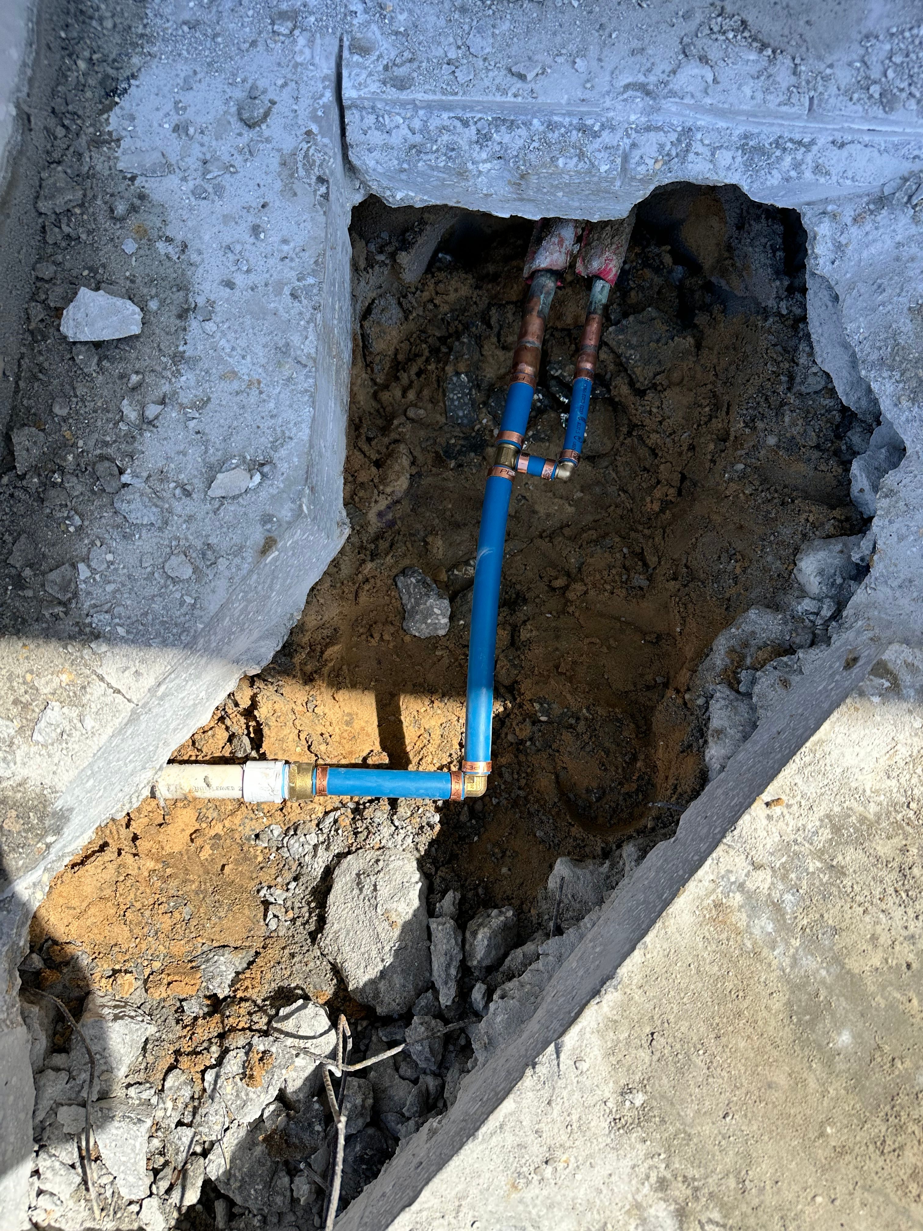 All Photos for The Golden Plumber in Pensacola, FL
