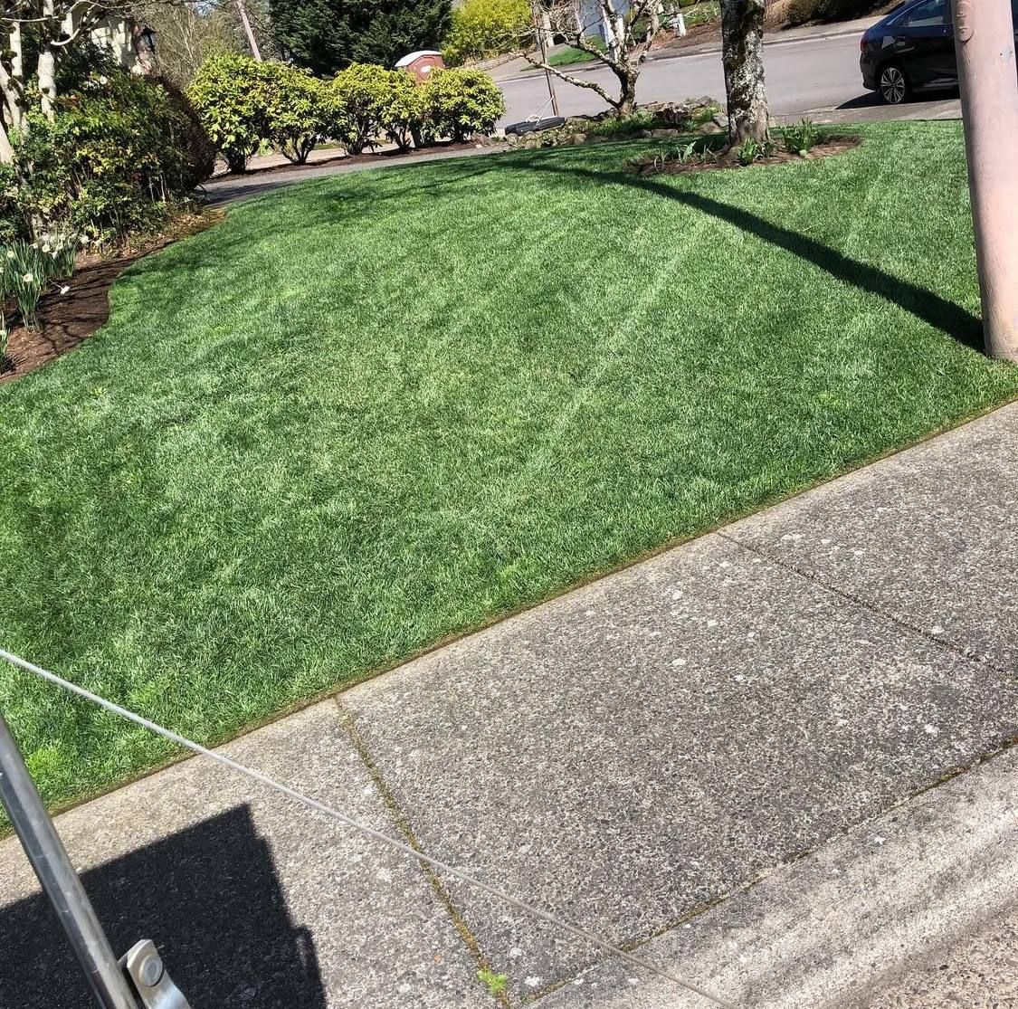 All Photos for Rs lawn Care llc in Beavertown, OR