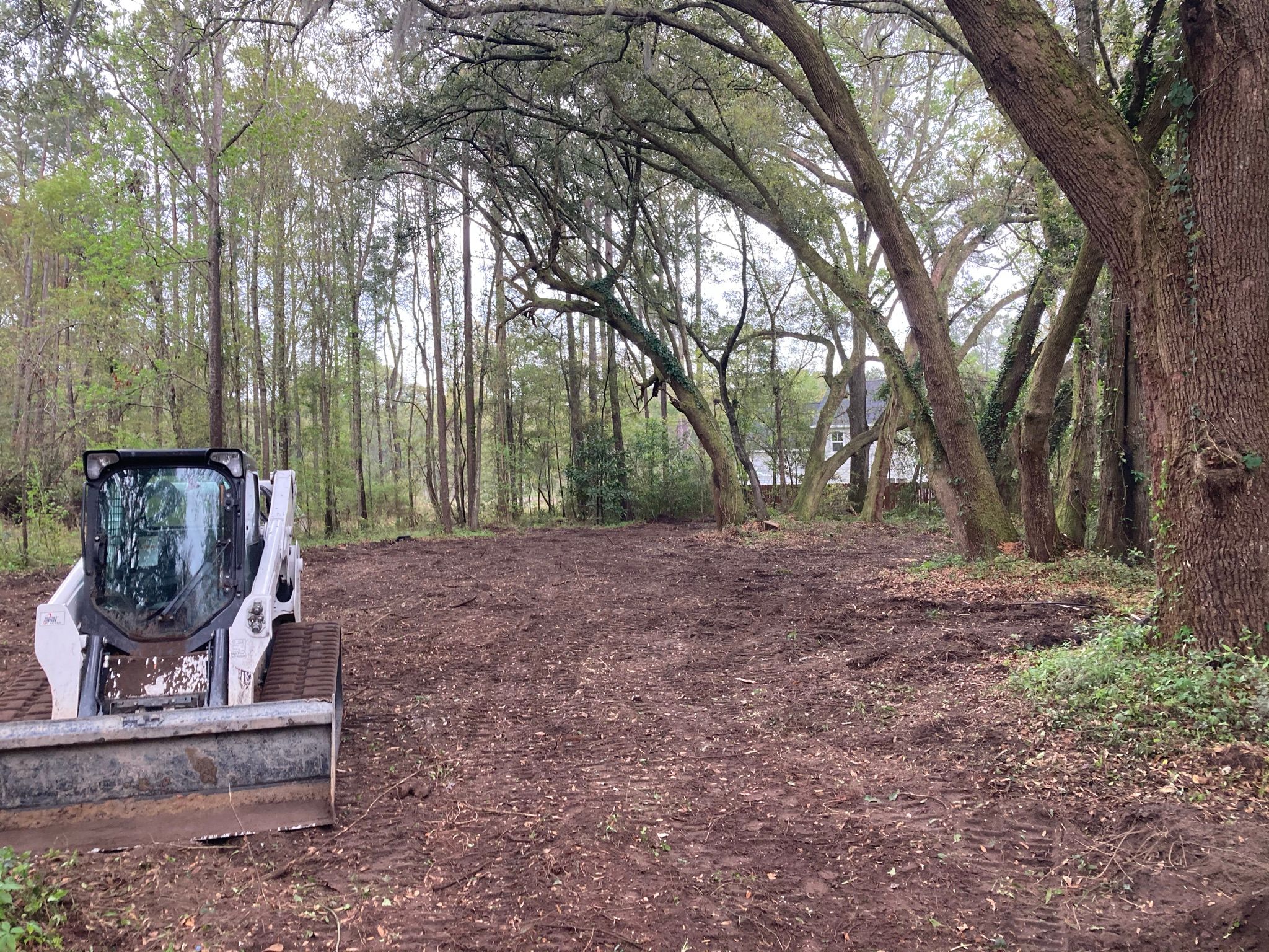 Land clearing for CW Earthworks, LLC in Charleston, South Carolina