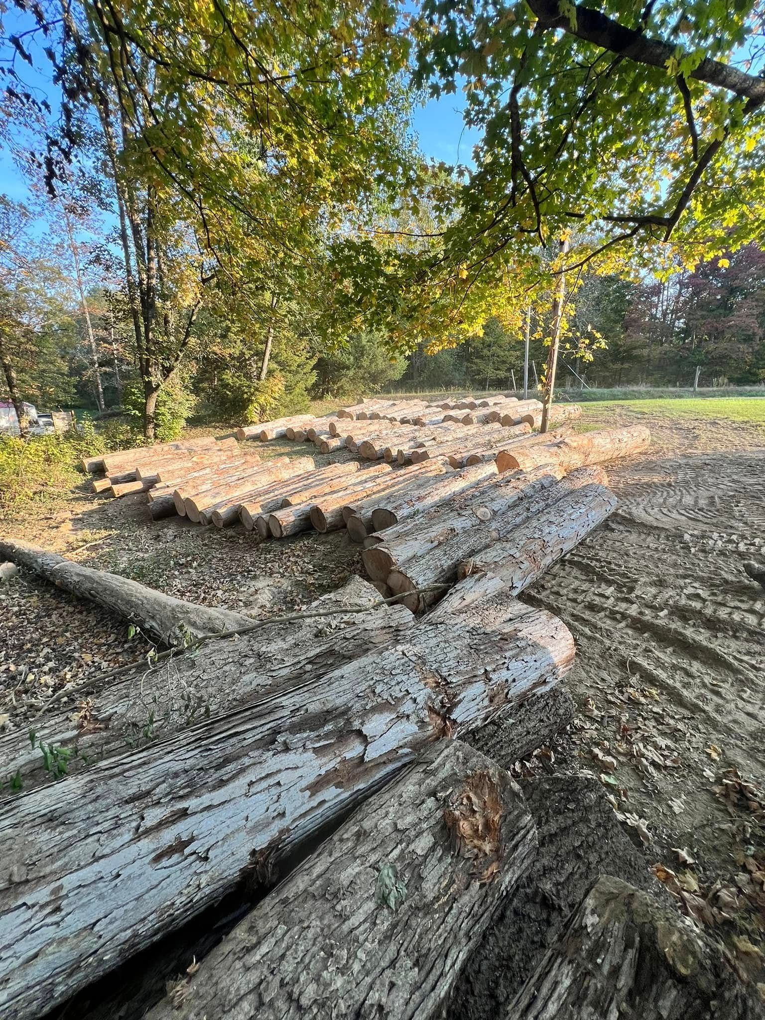 Tree Services for Kadin’s Tree Service in North Vernon, IN