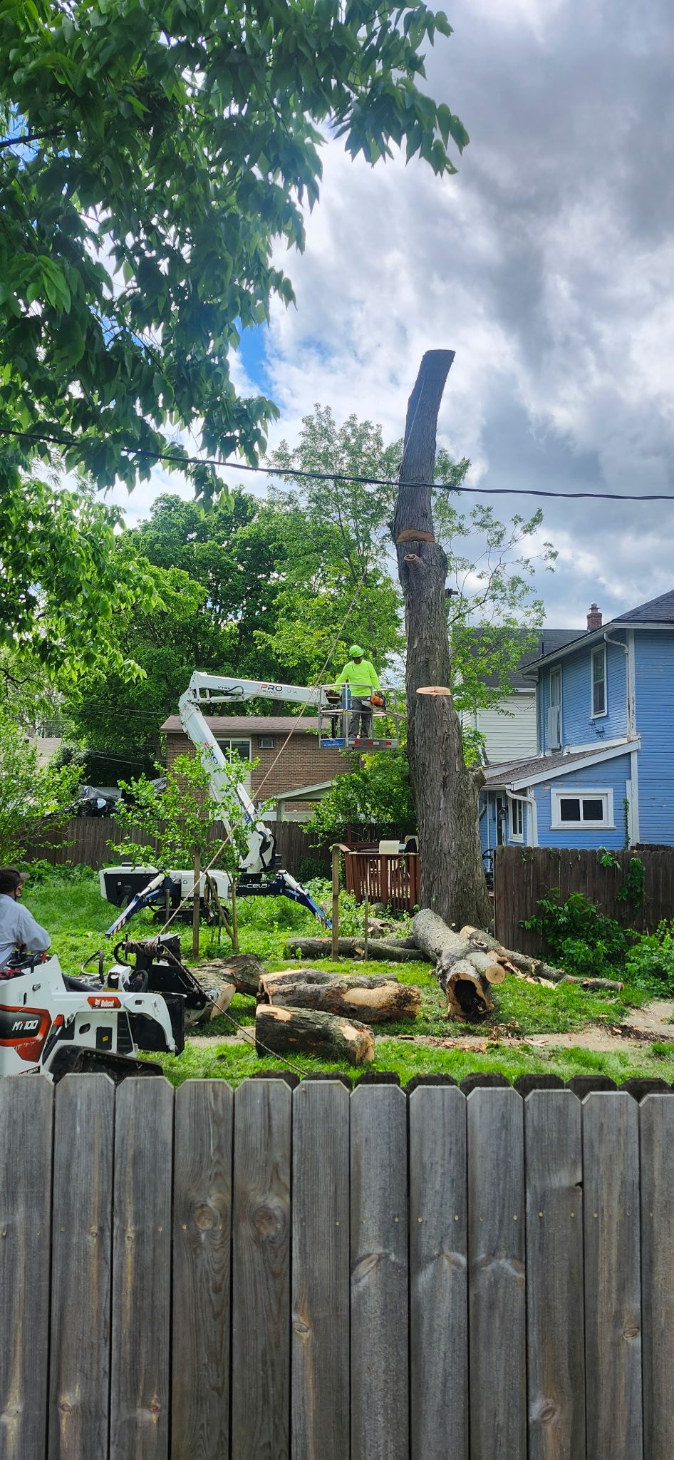 All Photos for Pro Tree Trim & Removal, Llc in Dayton, OH
