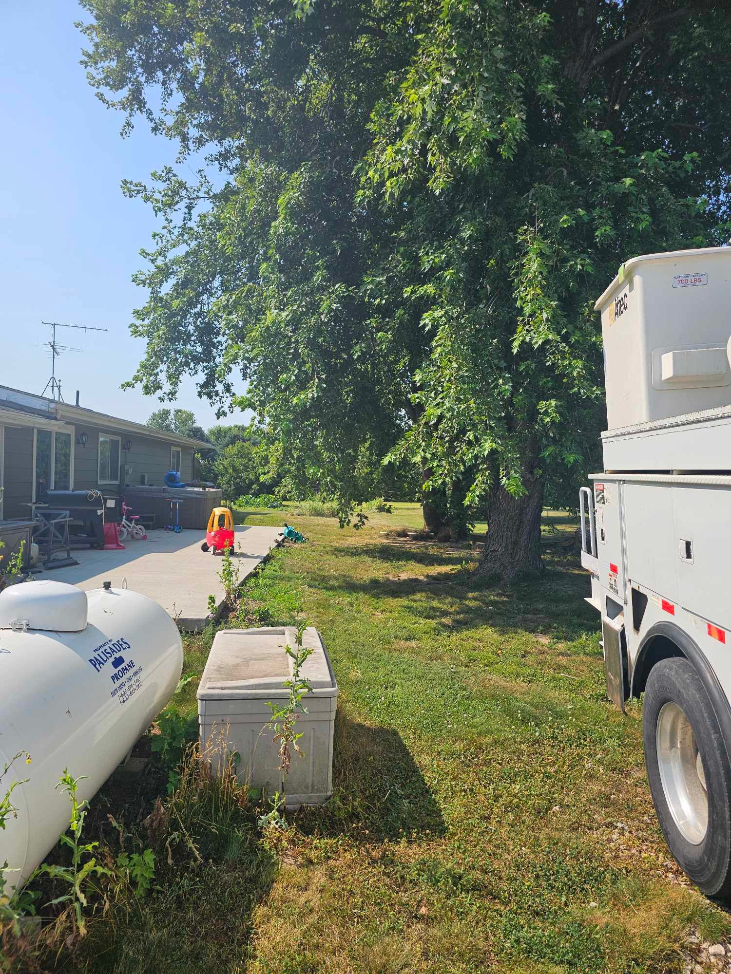  for Tree Tech in Luverne, MN