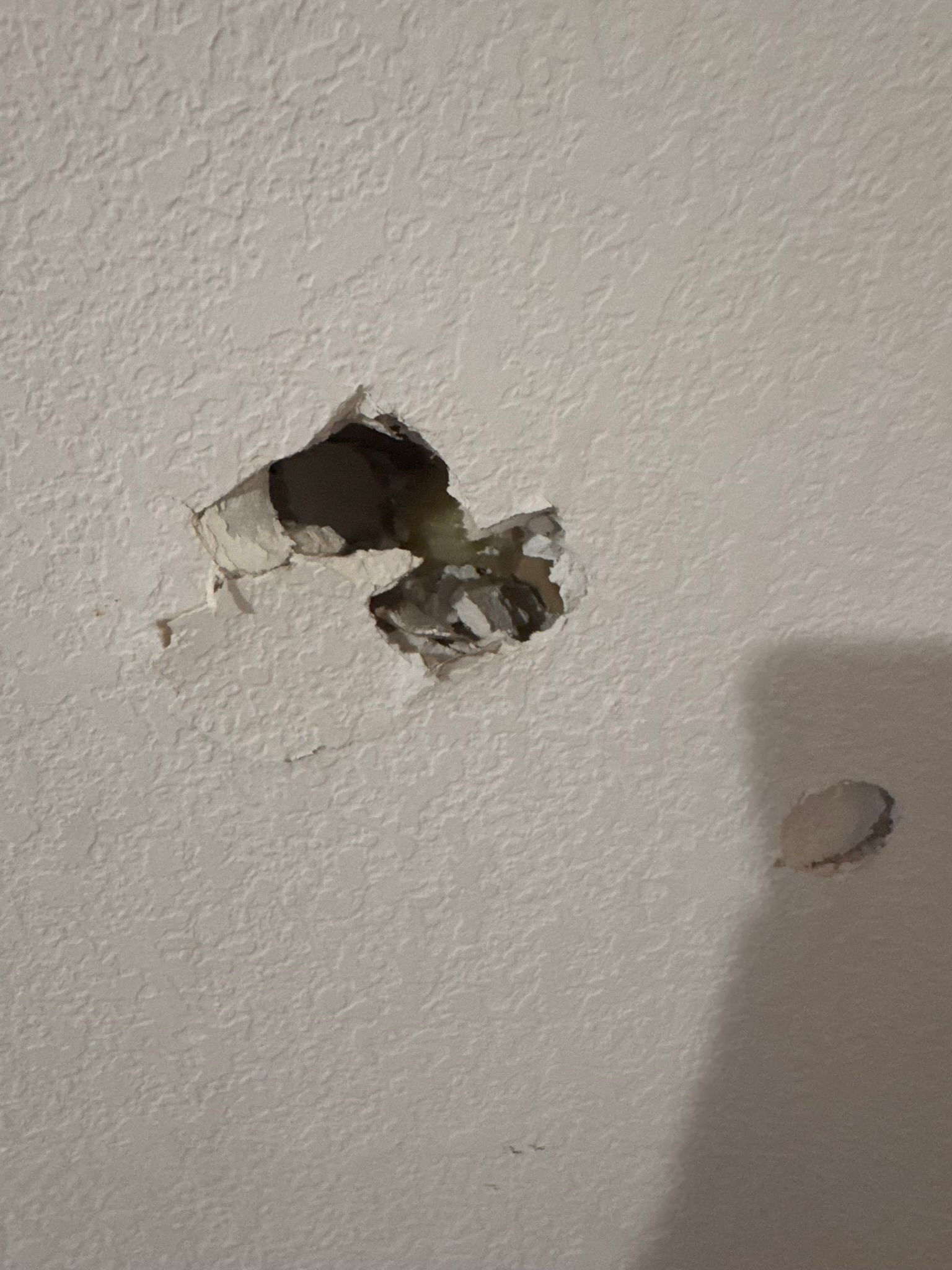  for Tony's Remodeling & Painting in Renton, WA