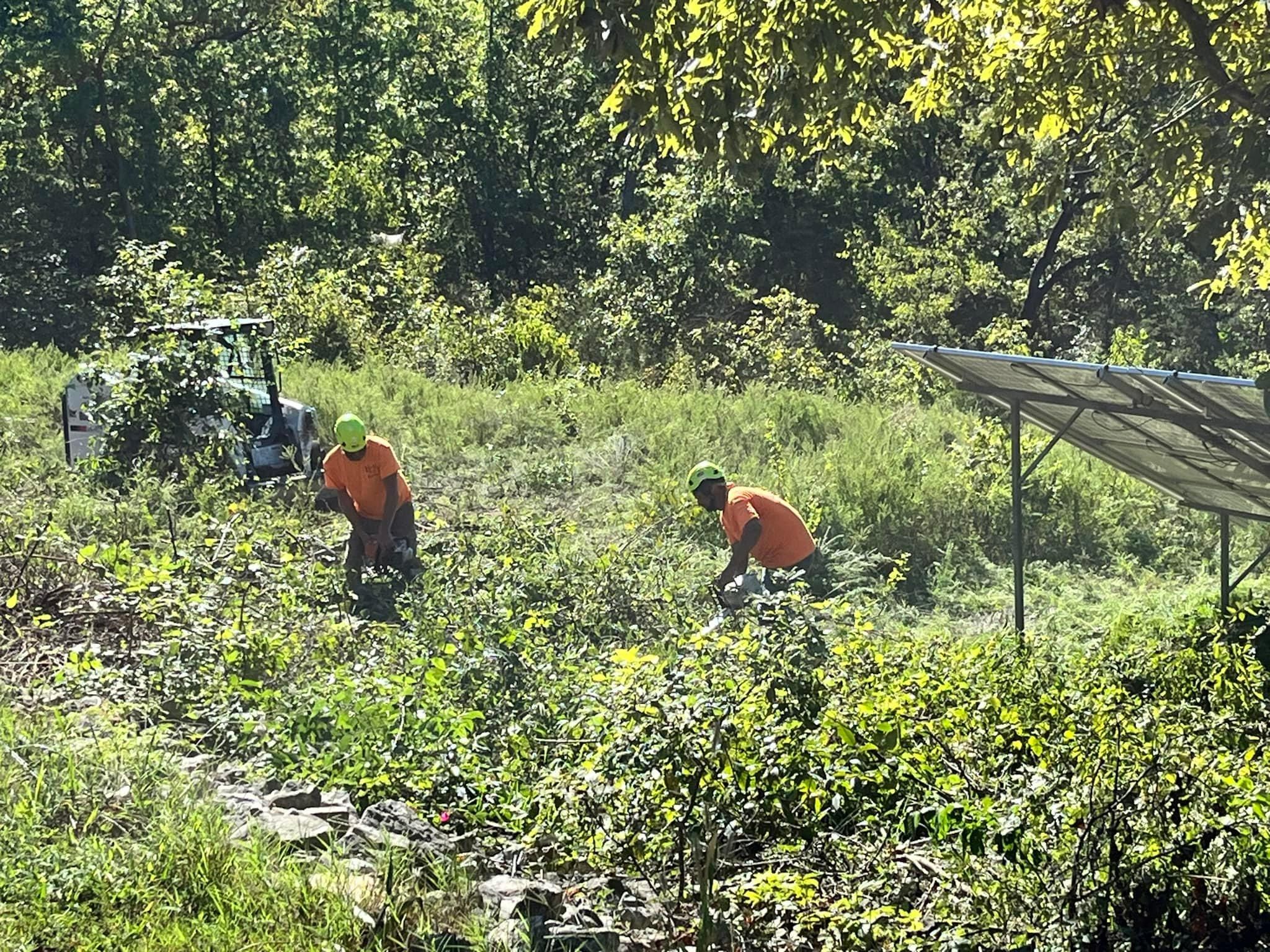  for H n H Tree Service in Taneyville, MO