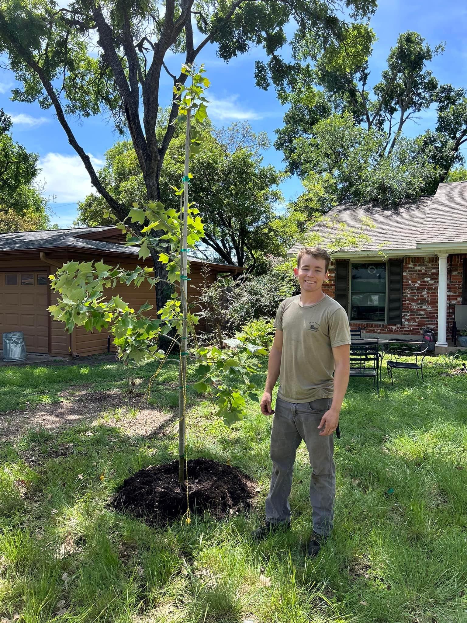  for Camerons Stump Grinding & Tree Services in Austin, TX