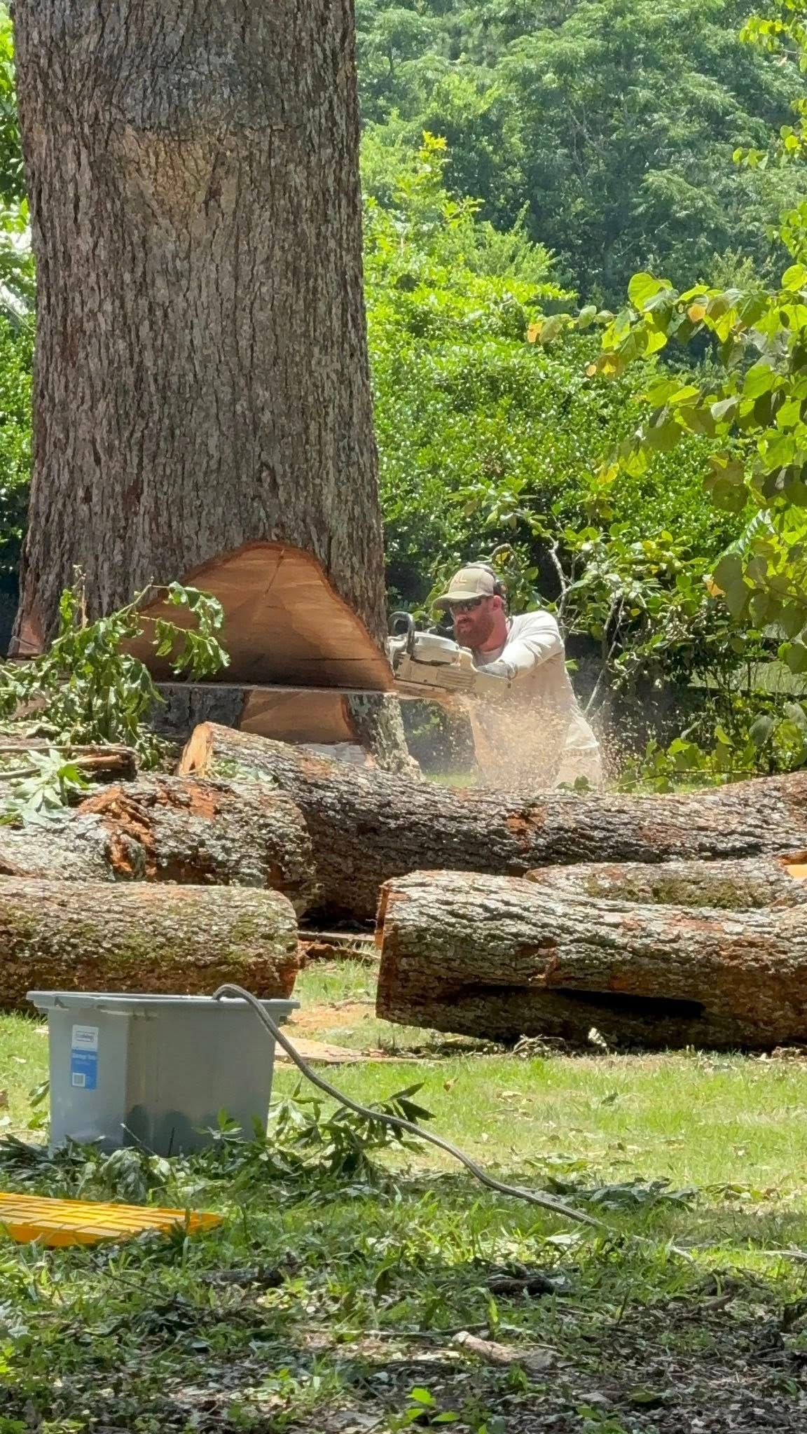  for T N L - Tree and Land Service in Reynolds, GA